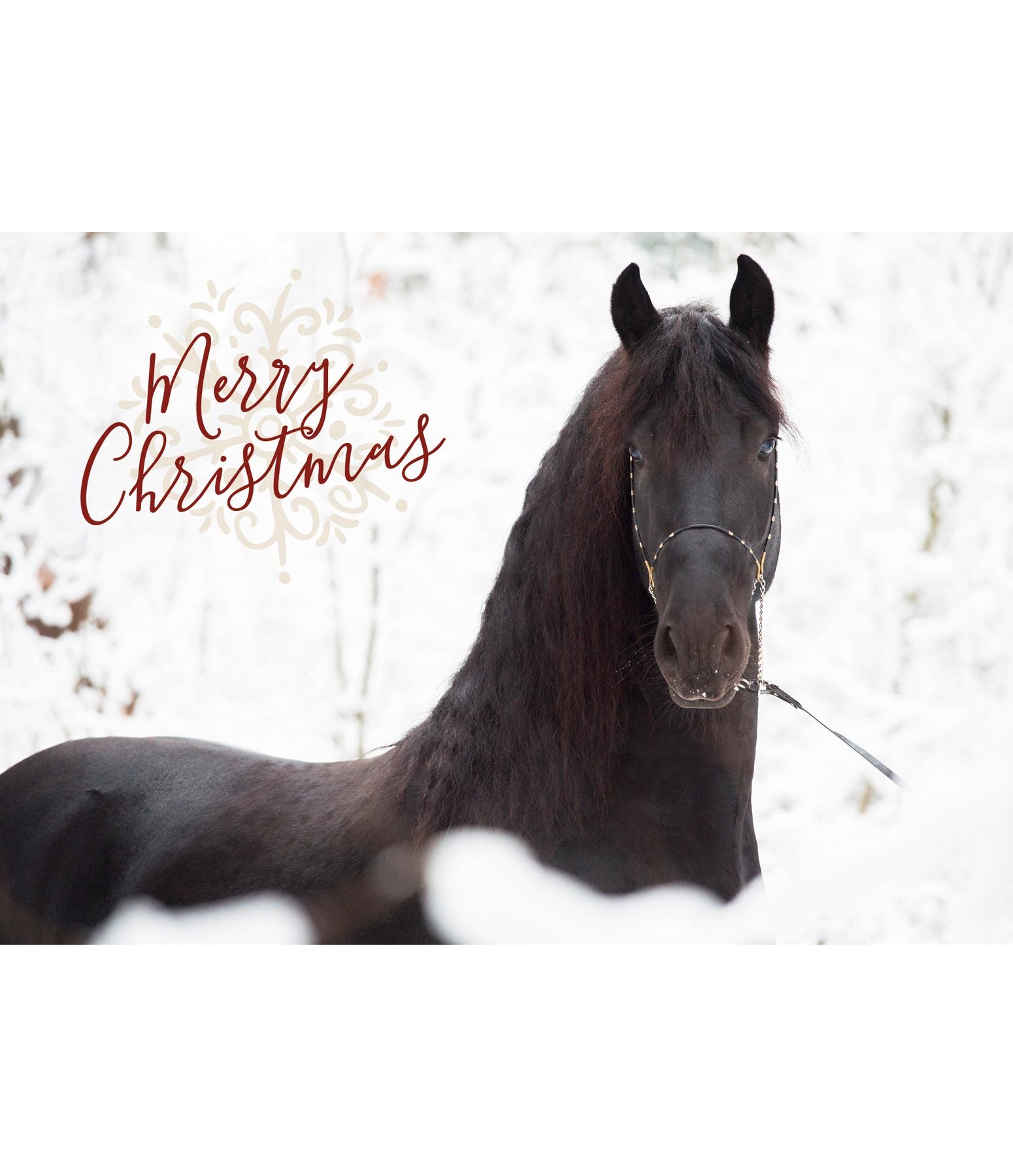 Albums 99+ Wallpaper Merry Christmas Images With Horses Full HD, 2k, 4k