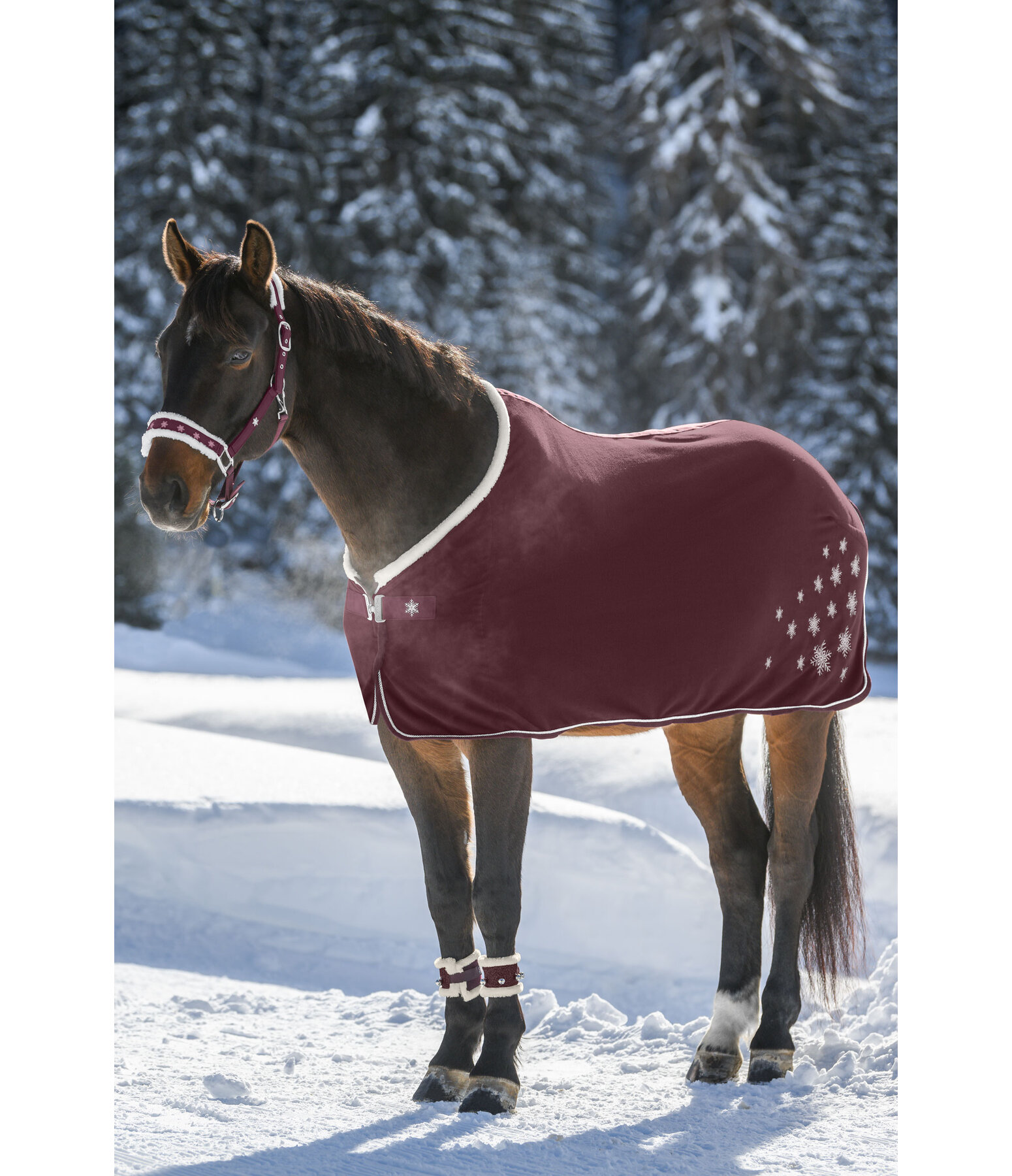 Christmas Collection Wicking Rug