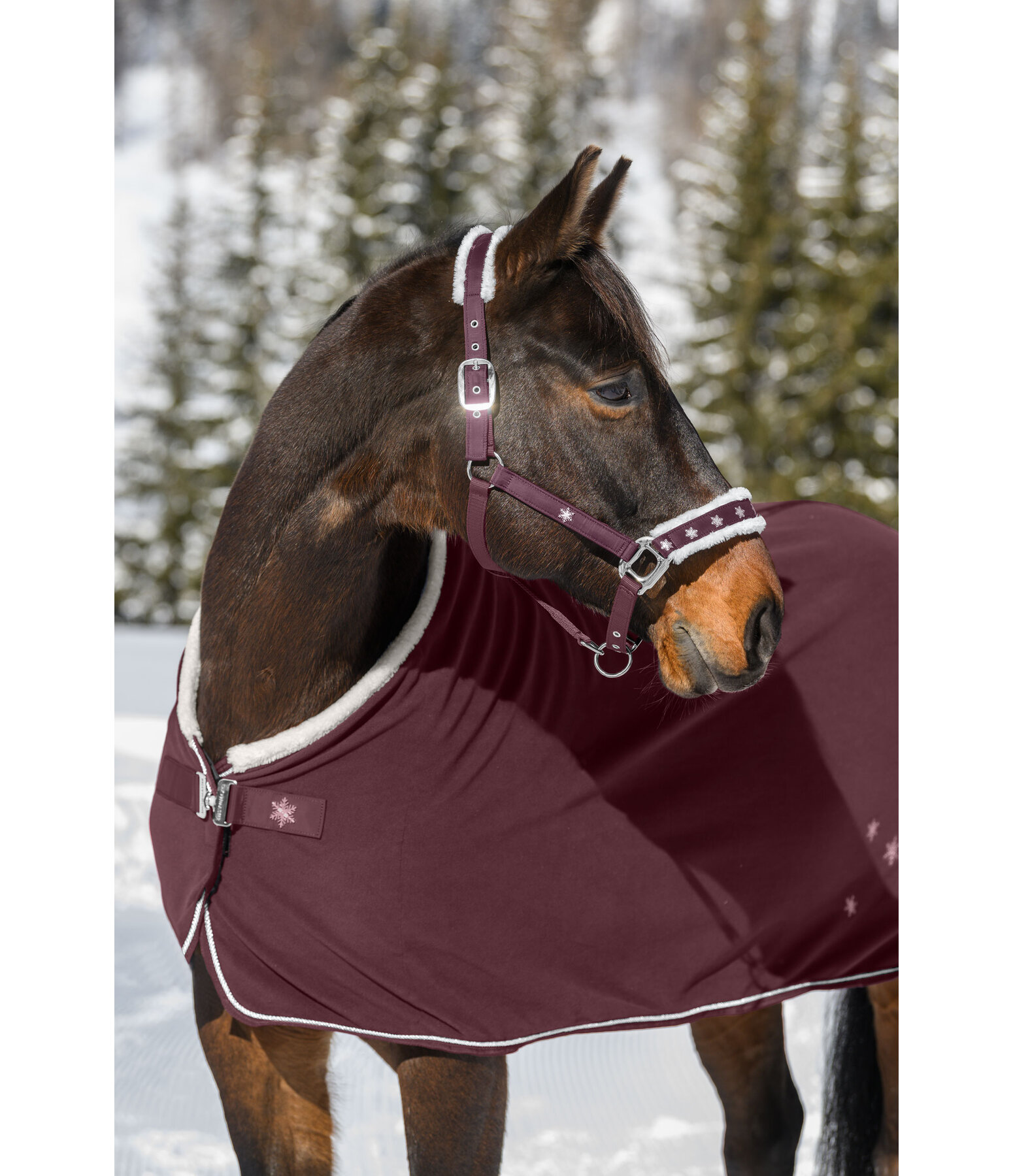 Christmas Collection Headcollar