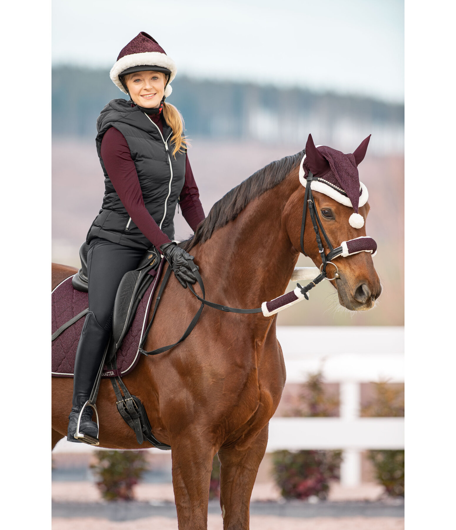Christmas Collection Nose and Rein Cover