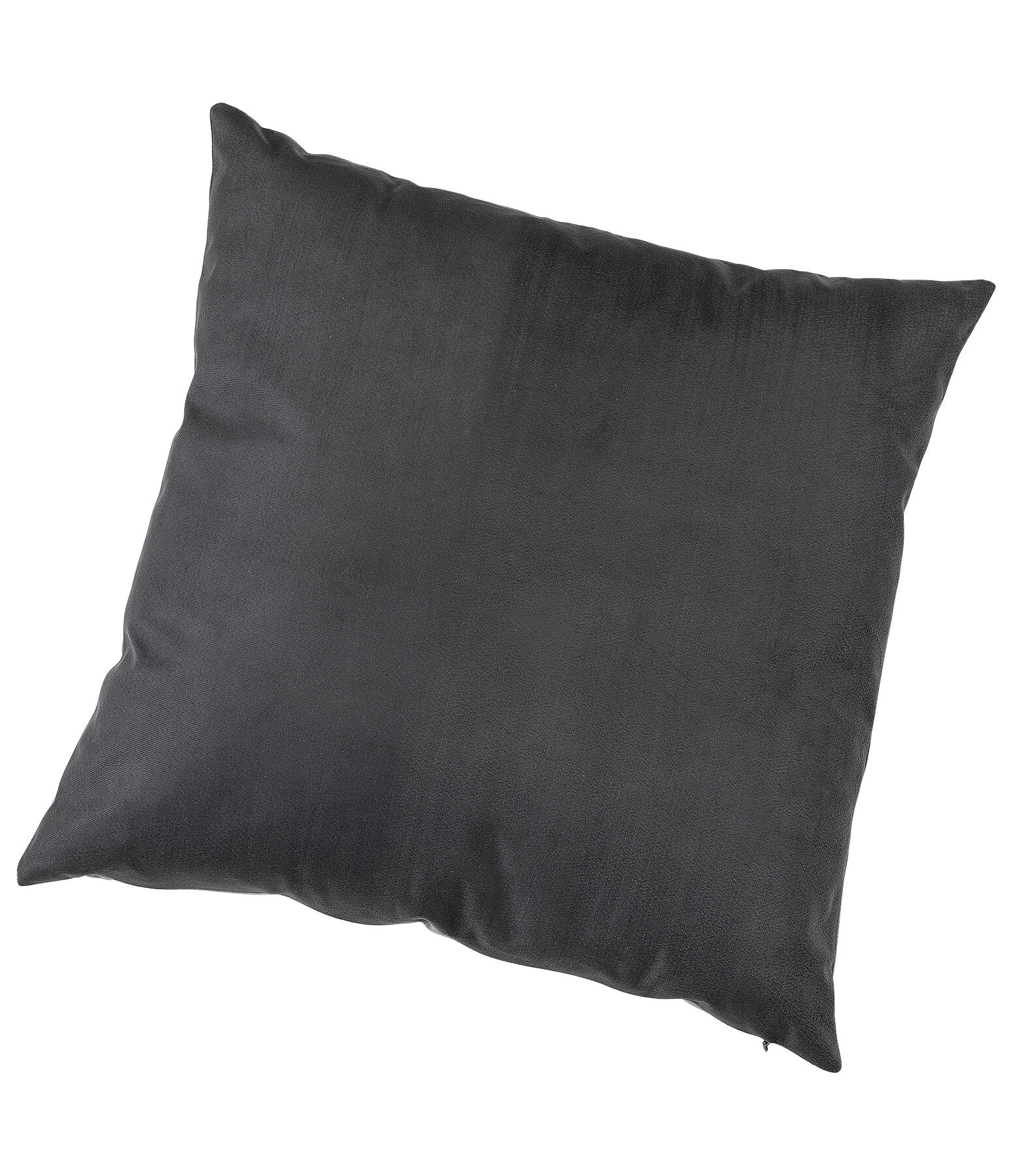 Cushion Horse Friends