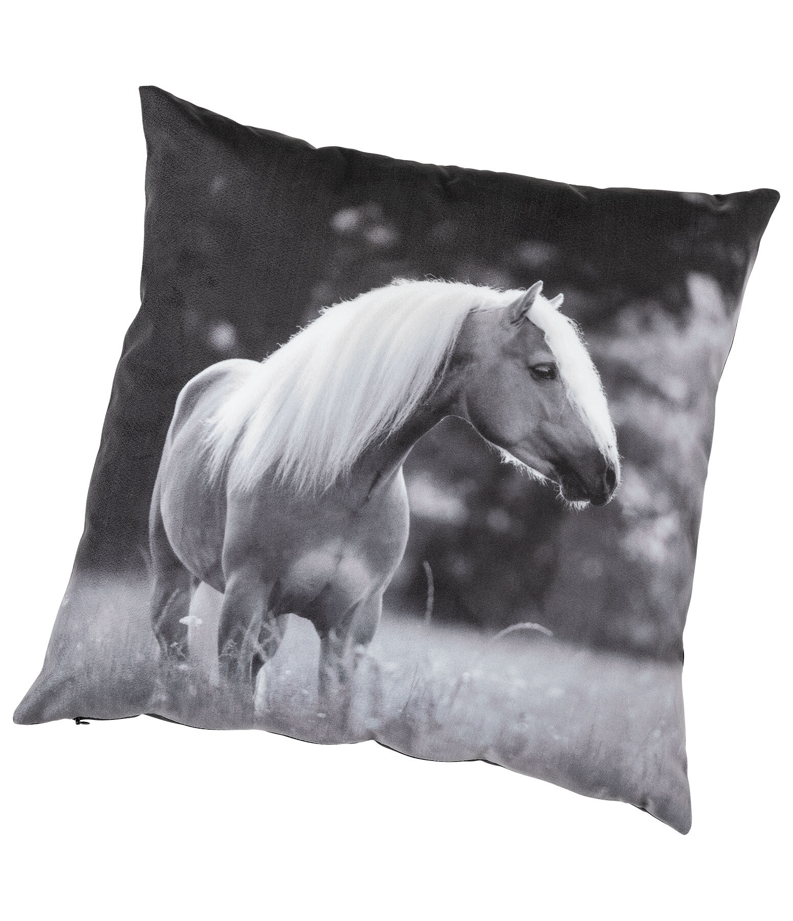 SH Cushion Haflinger