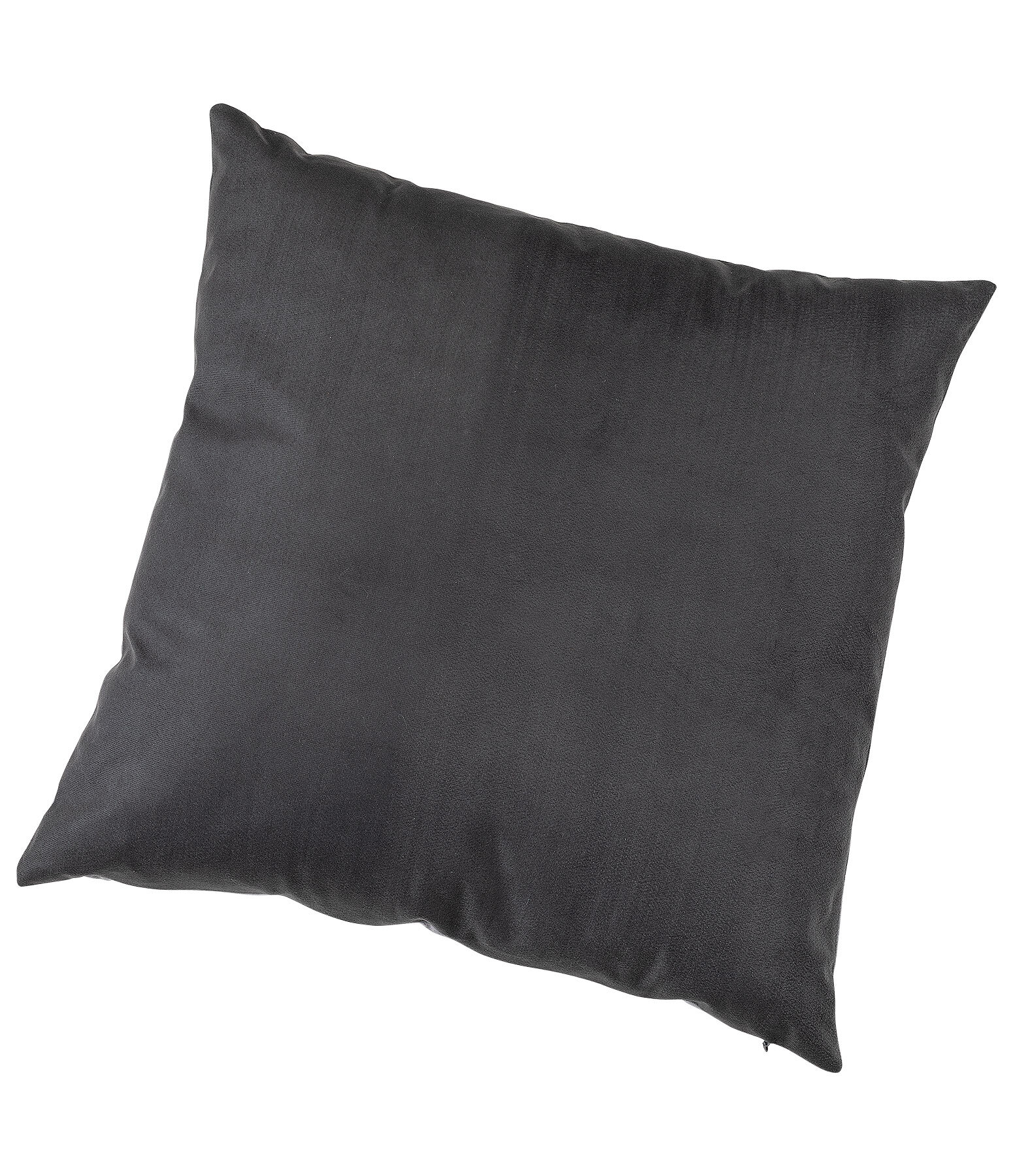Cushion Haflinger