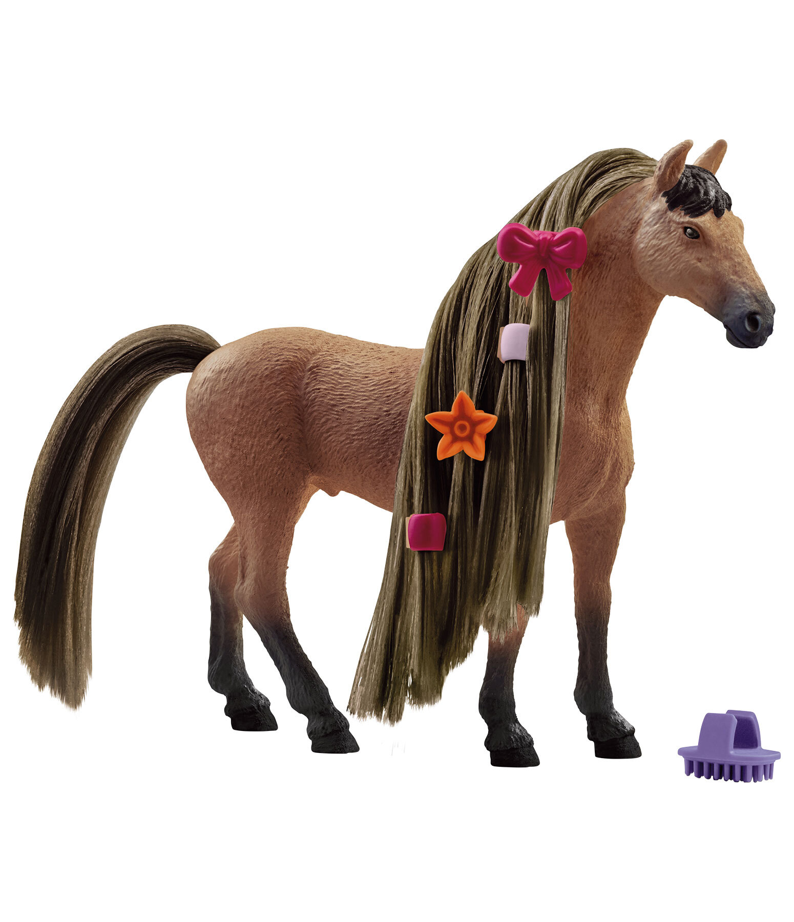 Beauty Horse Akhal-Teke Stallion
