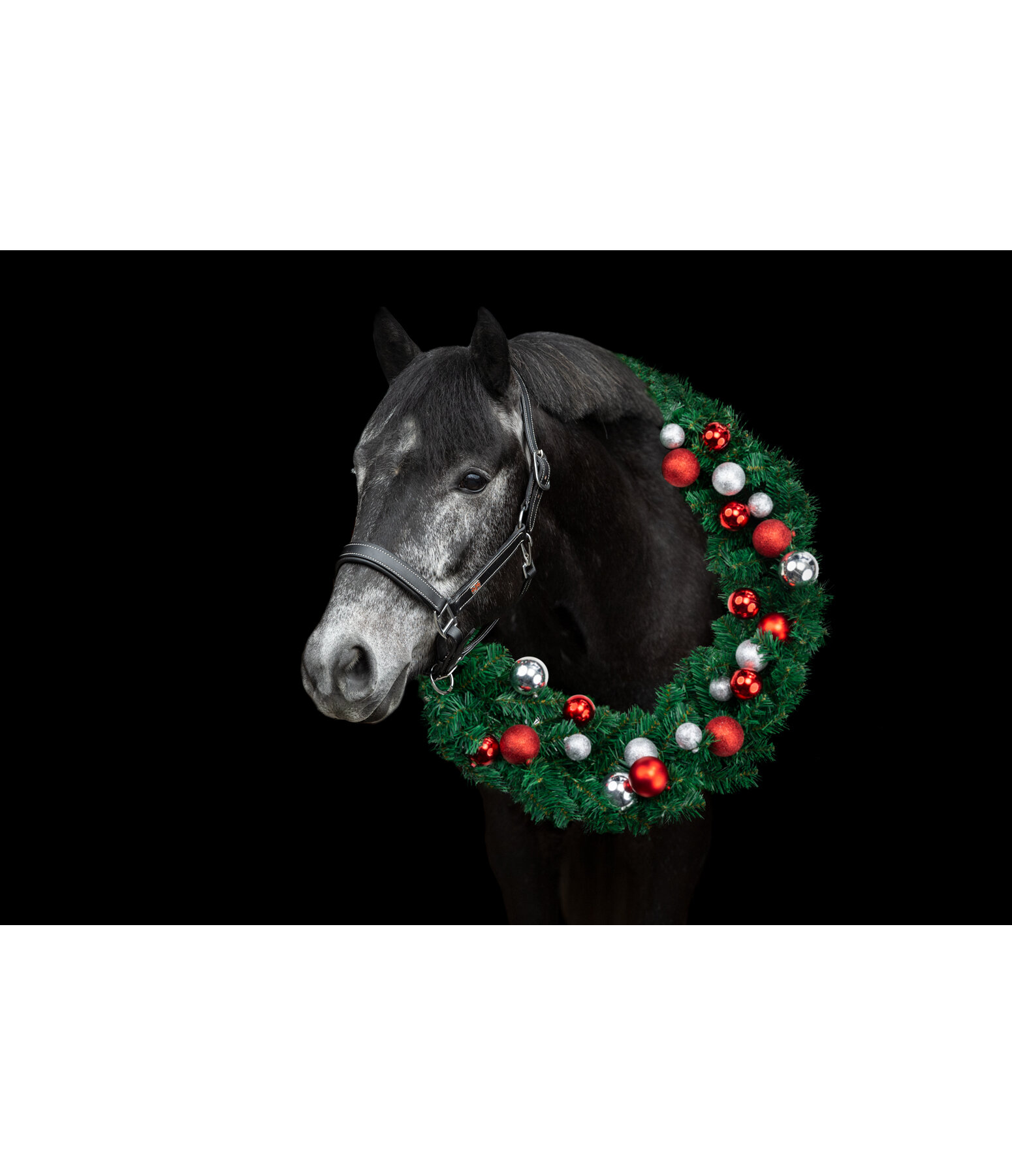 SH Christmas Collection Horse Christmas Wreath Pro