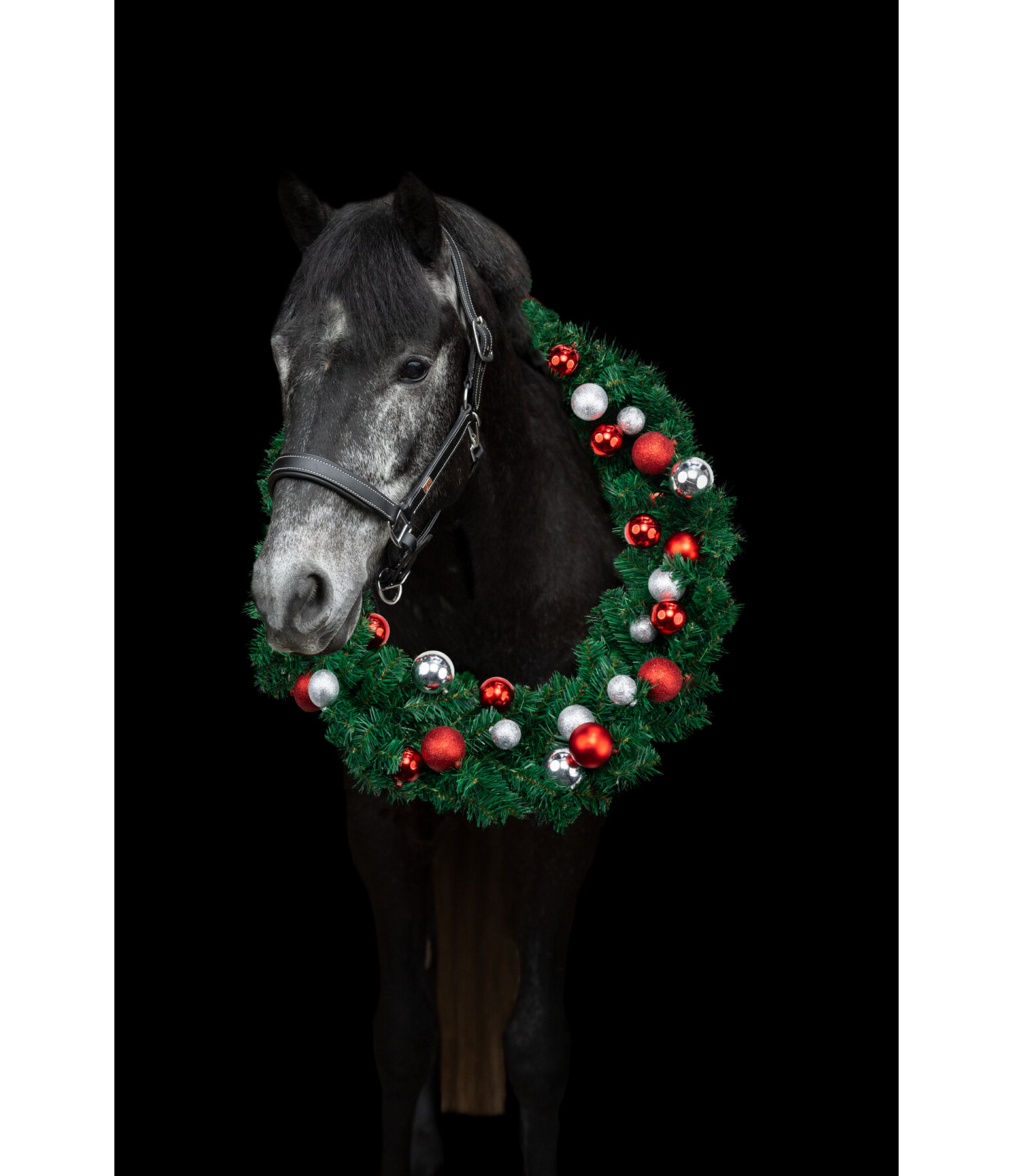 Christmas Collection Horse Christmas Wreath Pro