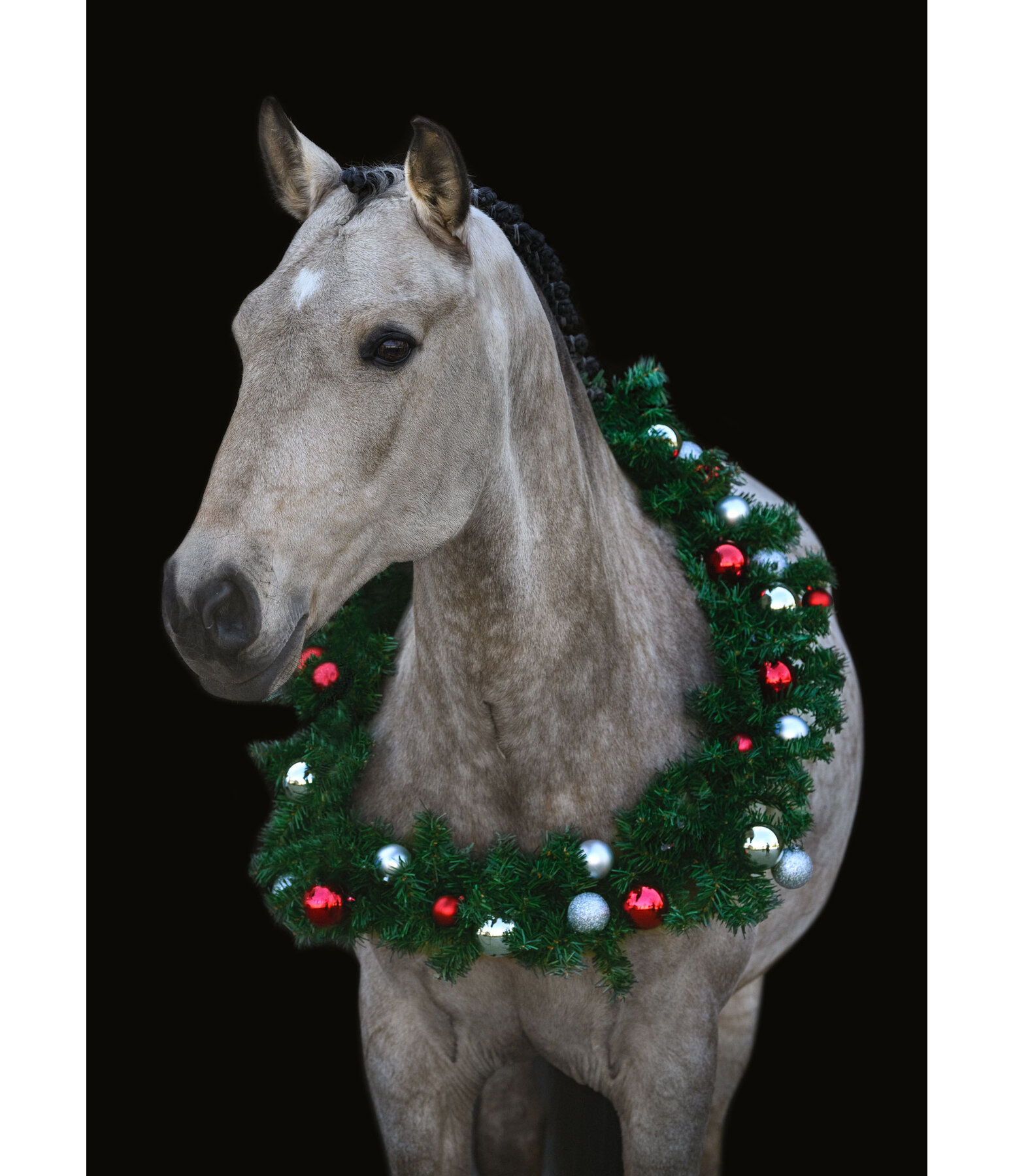 SH Christmas Collection Horse Christmas Wreath Pro