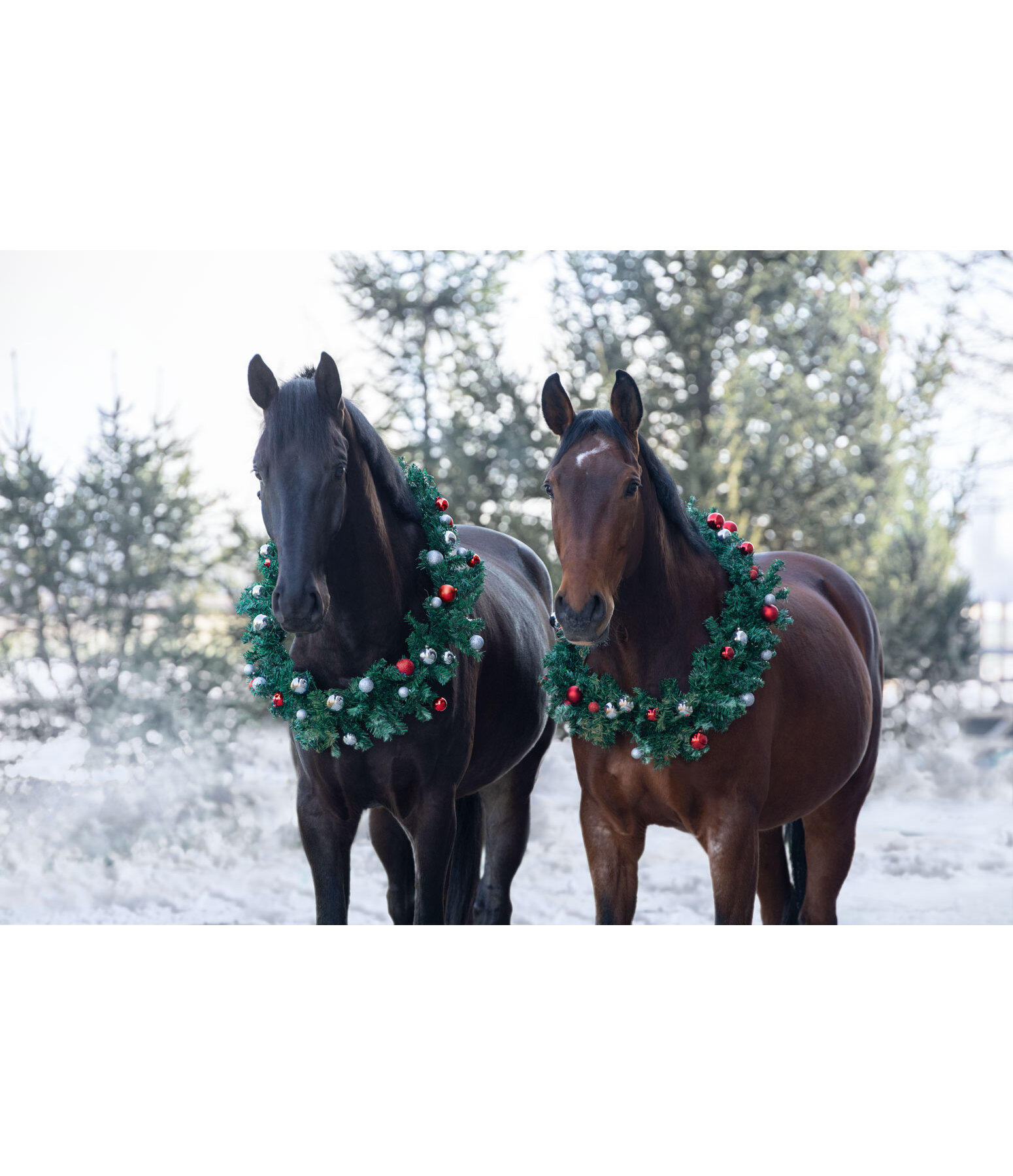 SH Christmas Collection Horse Christmas Wreath Pro