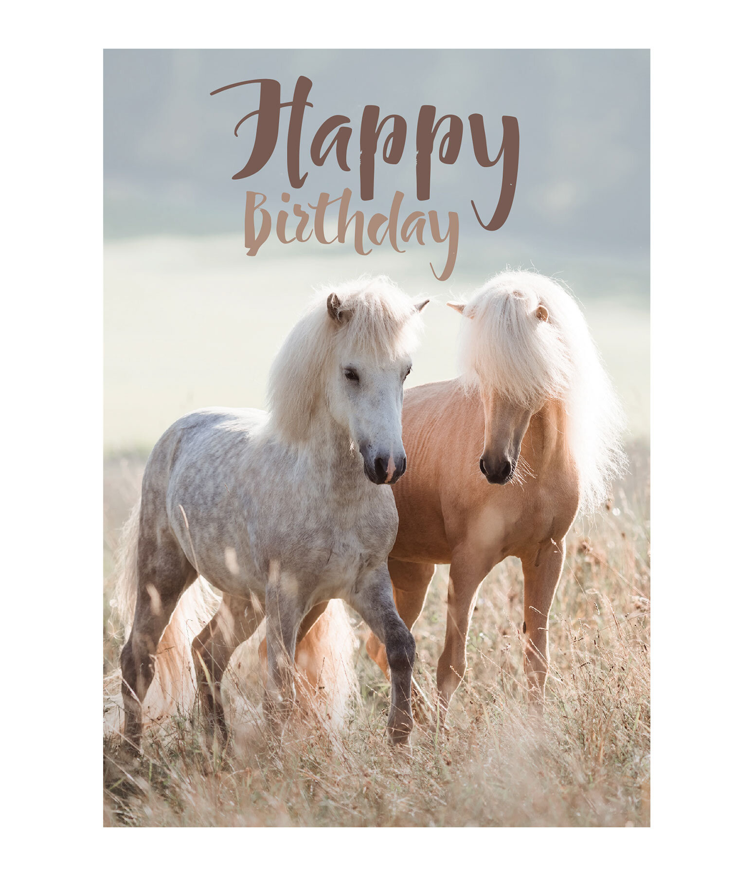 Greetings Card Happy Birthday II
