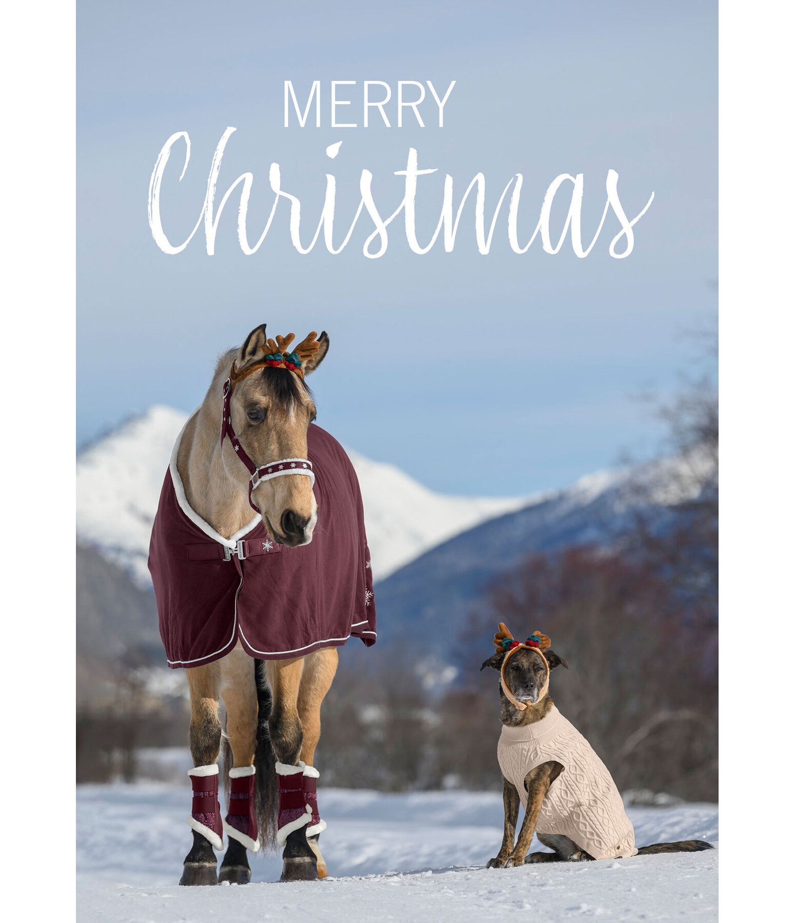 Greetings Card Merry Christmas
