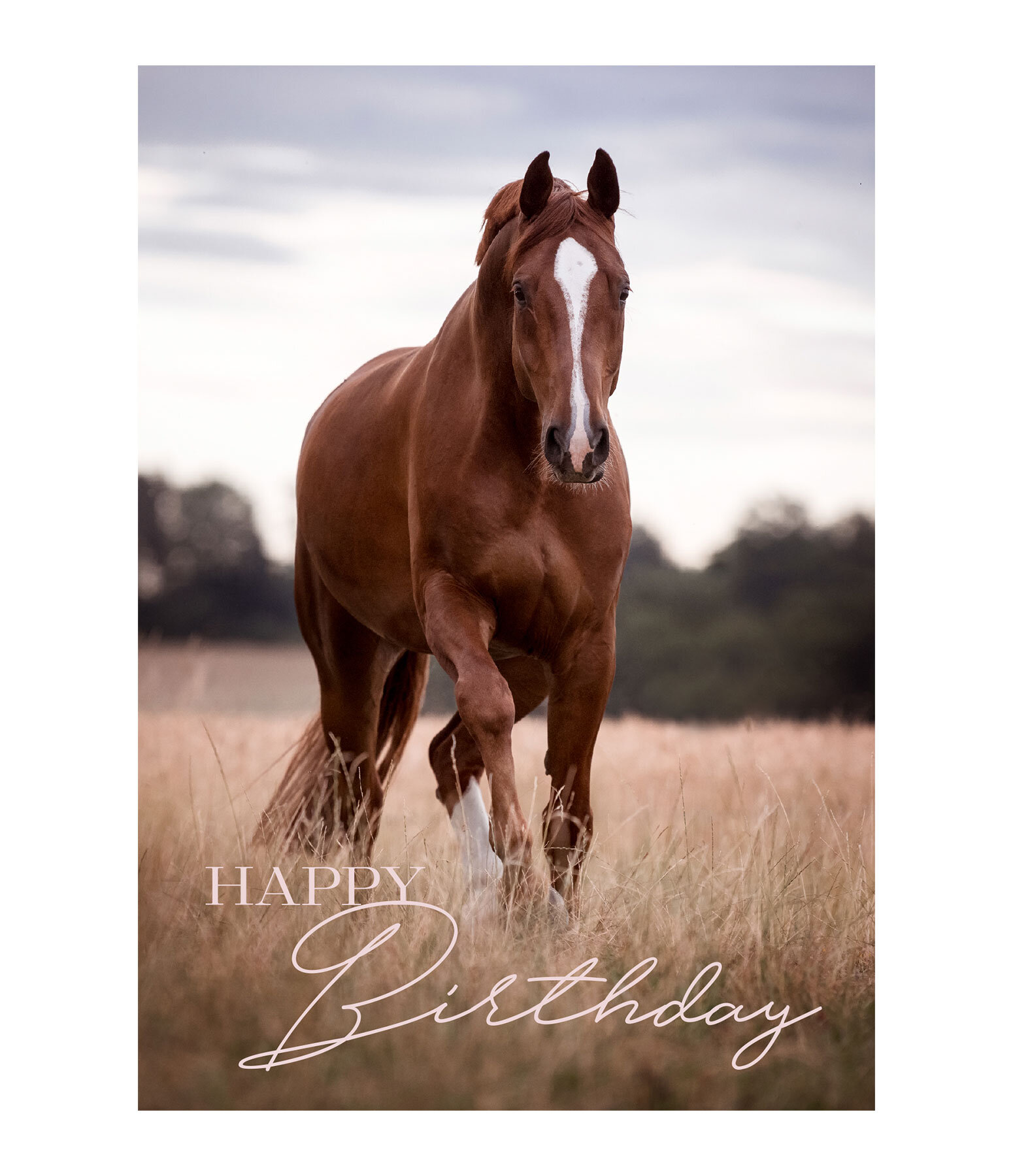 Greeting Card Happy Birthday IV