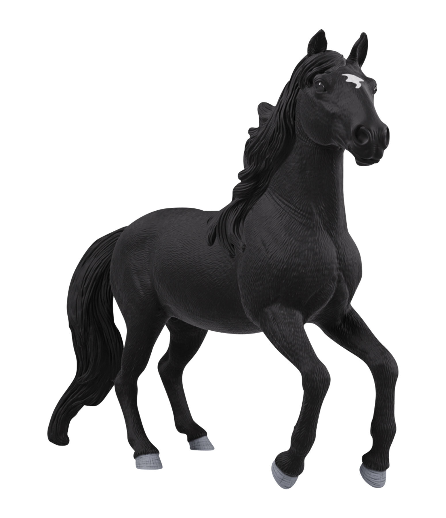 Lusitano Stallion