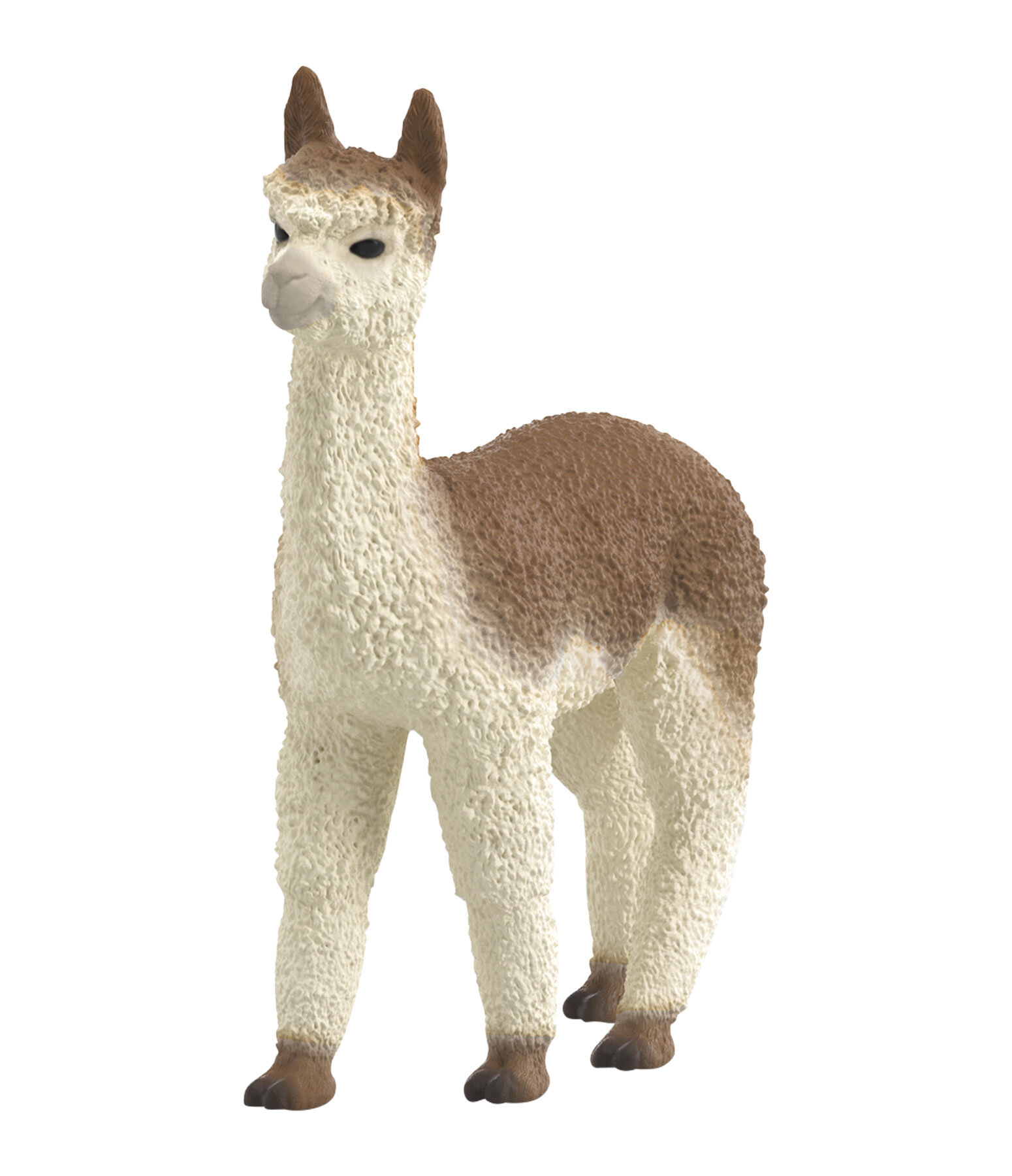 Alpaca