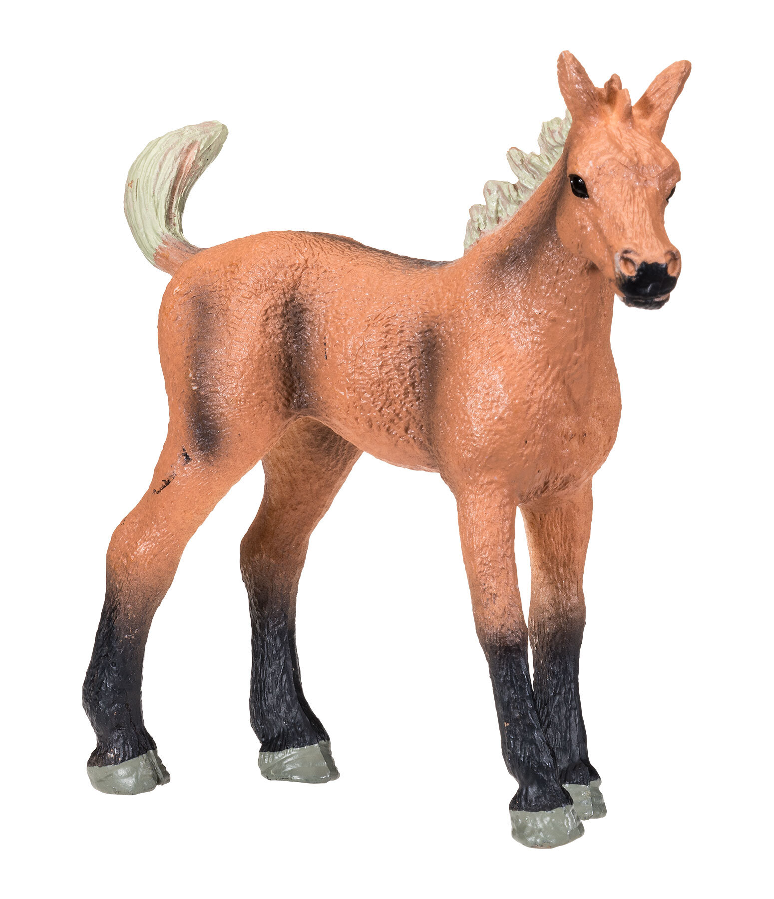 Play Series Belgian Warmblood Foal