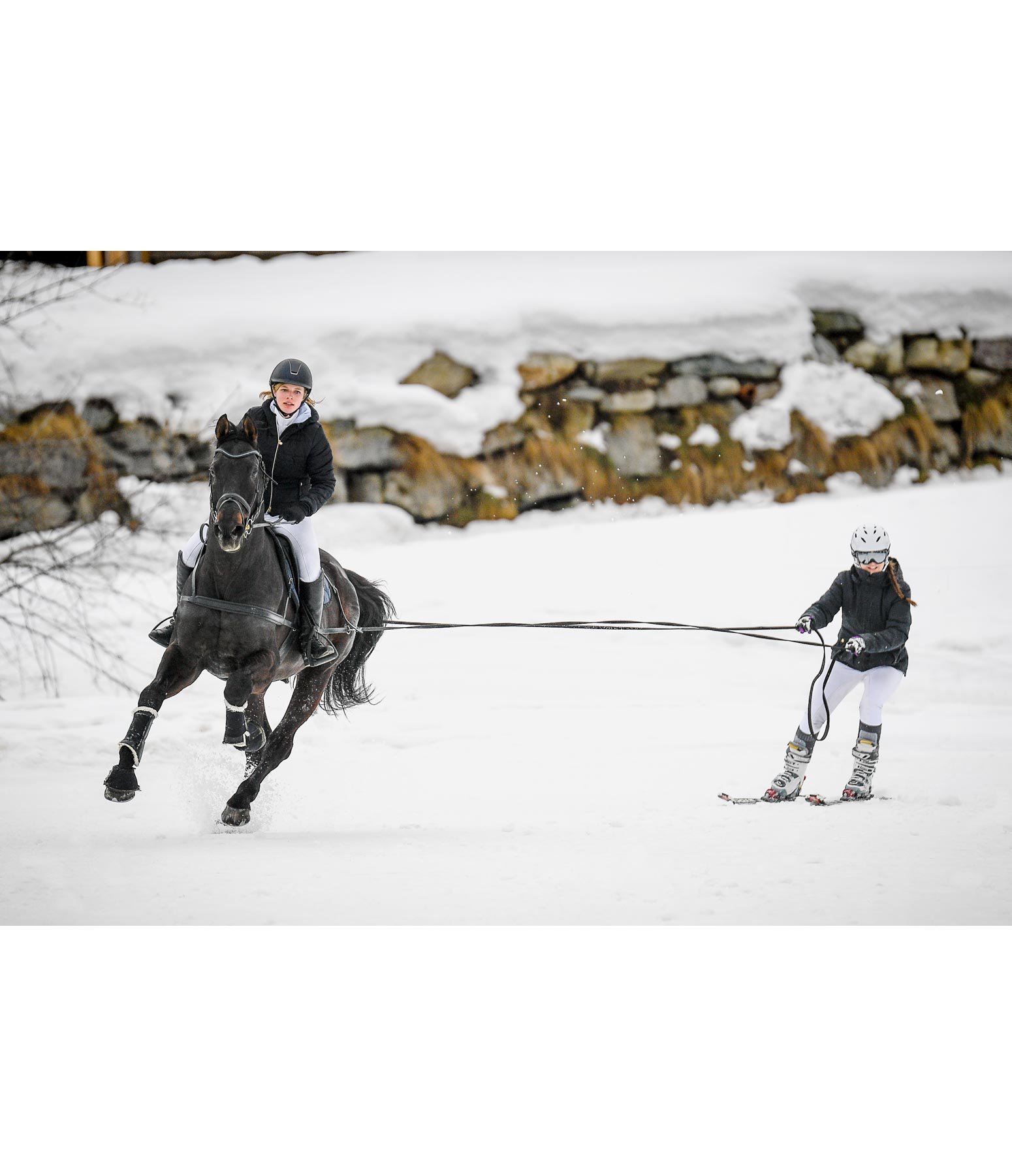 Skijöring All-Year Funset