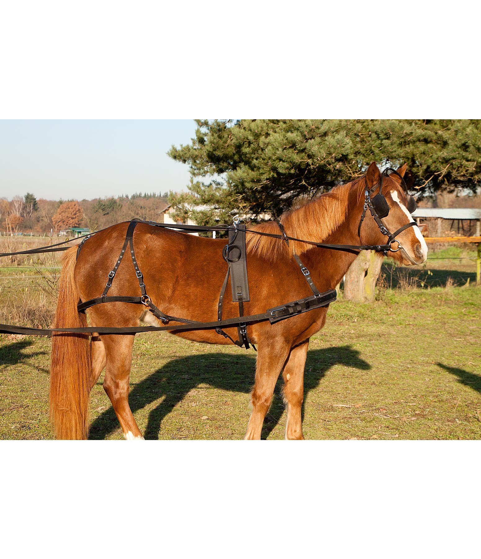 Nylon Single Turnout Breast Collar Harness Driving Harnesses