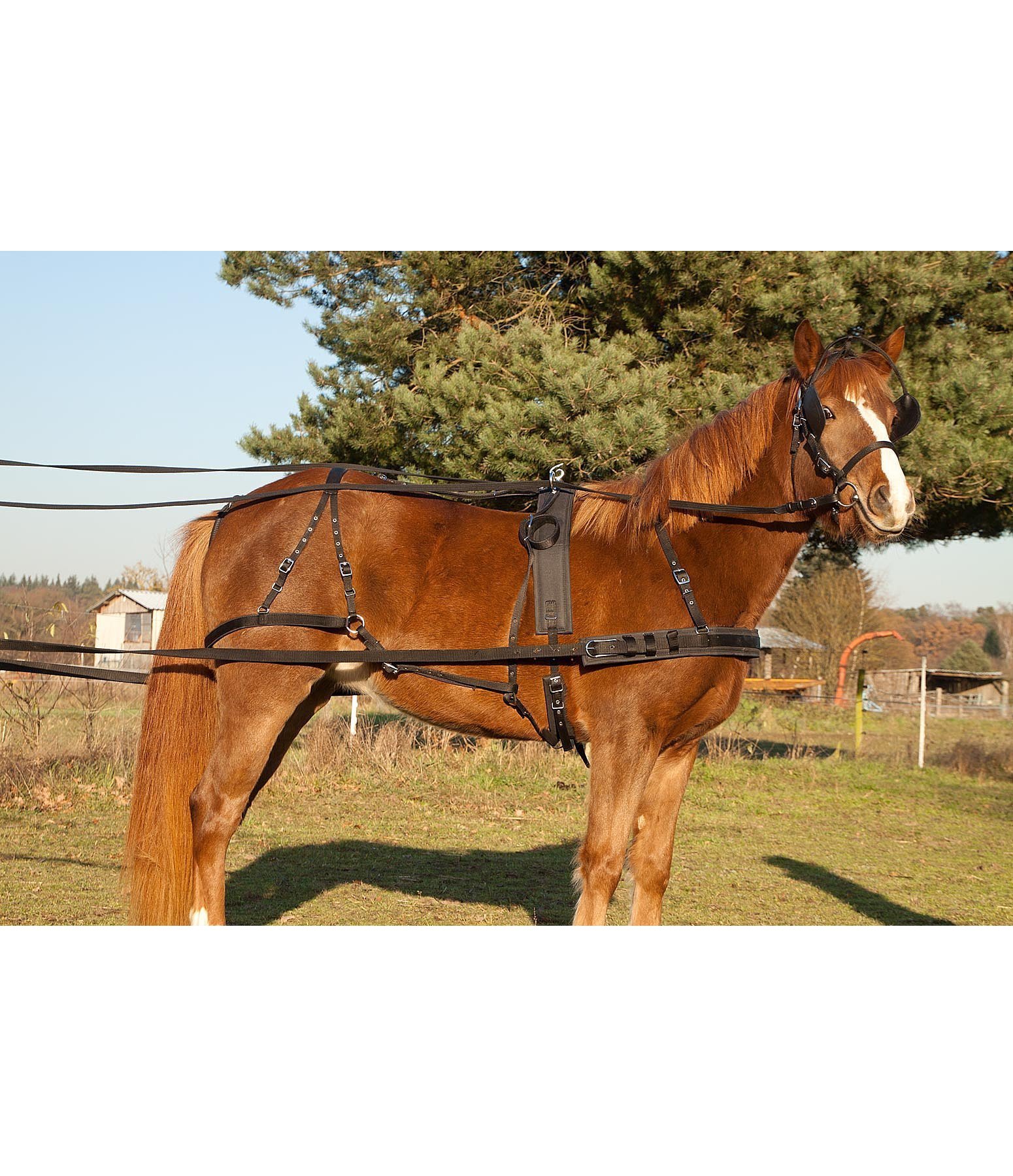 Nylon Single Turnout Breast Collar Harness Driving Harnesses