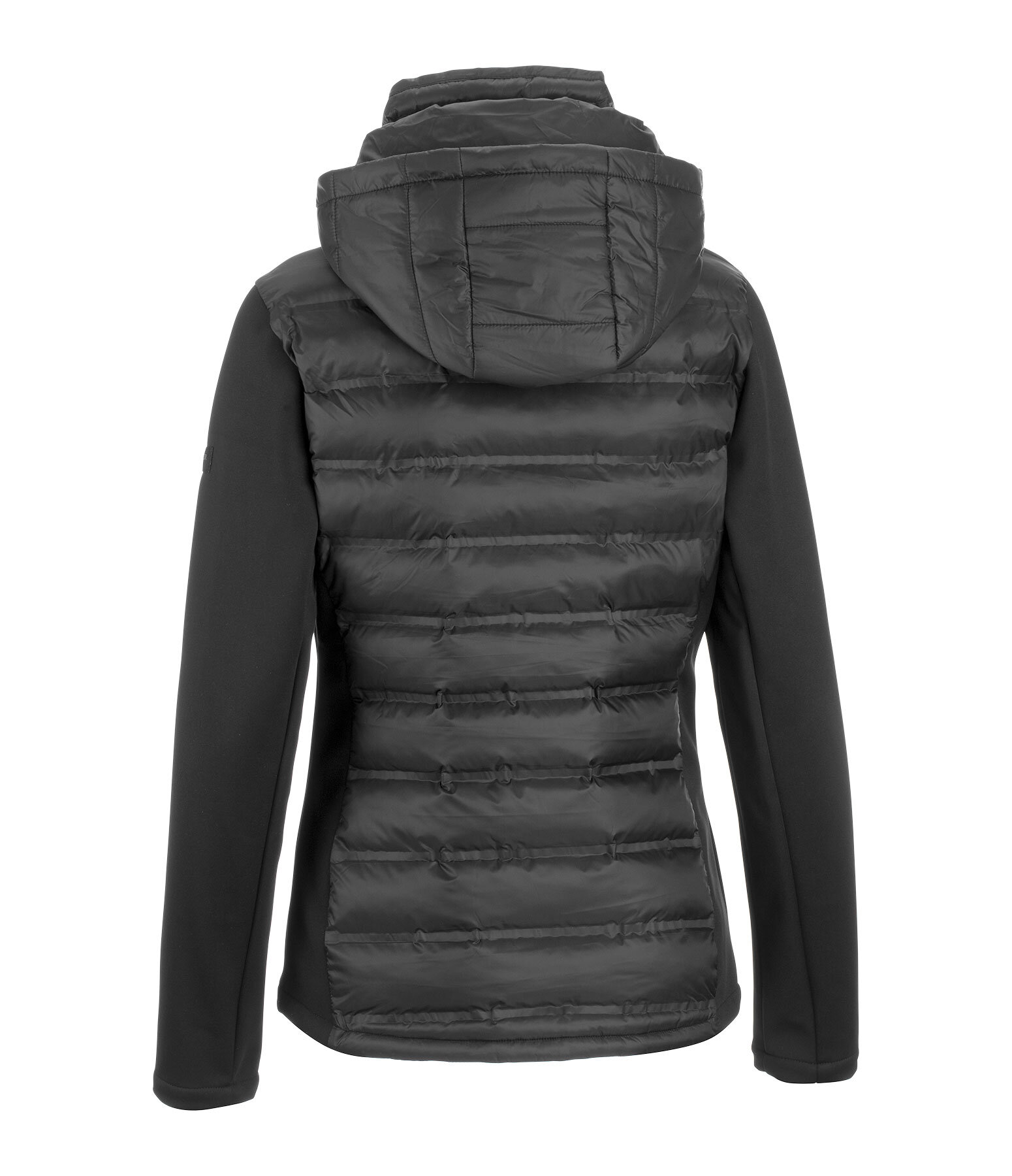 Softshell Hooded Combination Riding Jacket Celina