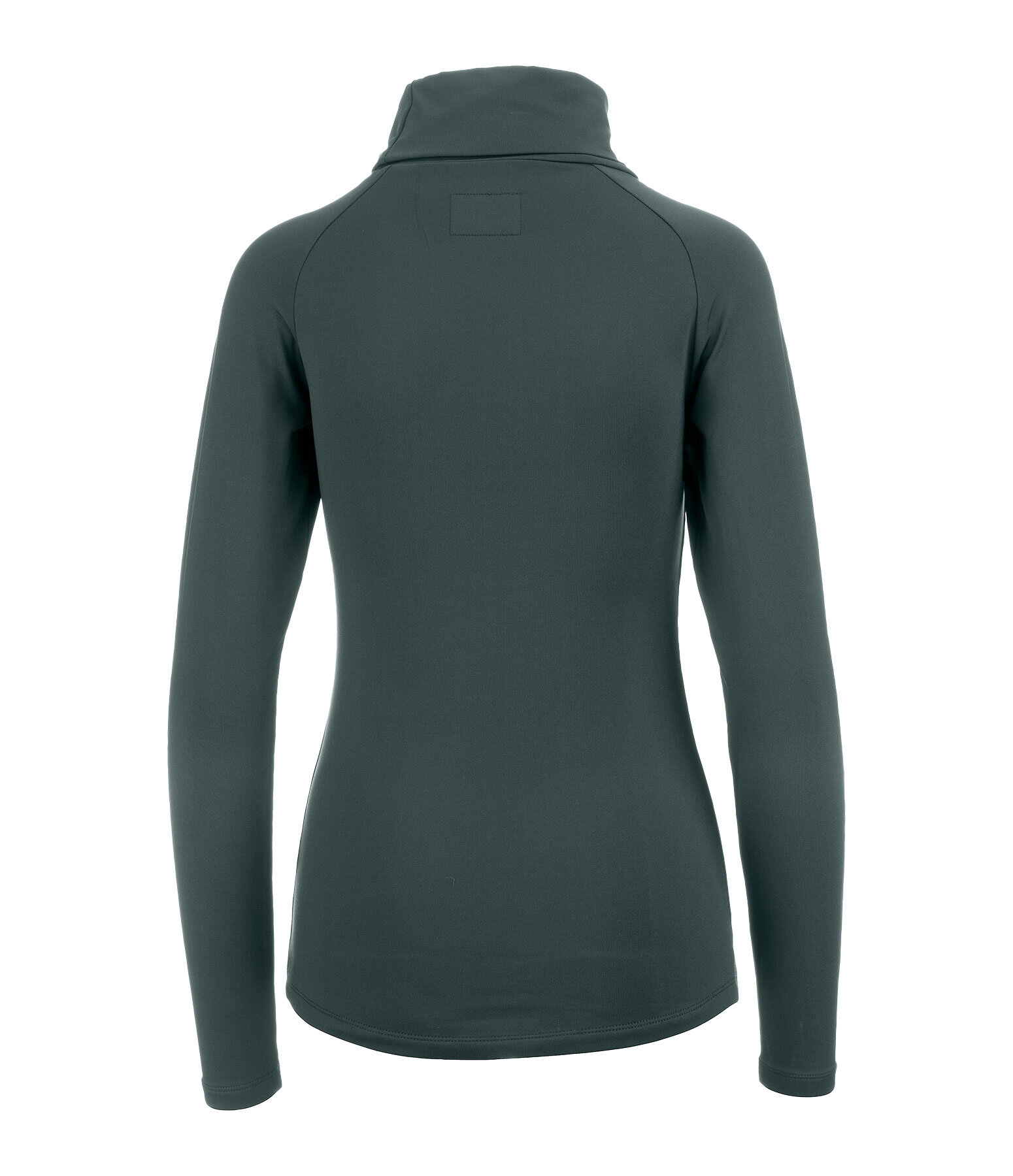 Performance Stretch Turtleneck Shirt Jonna