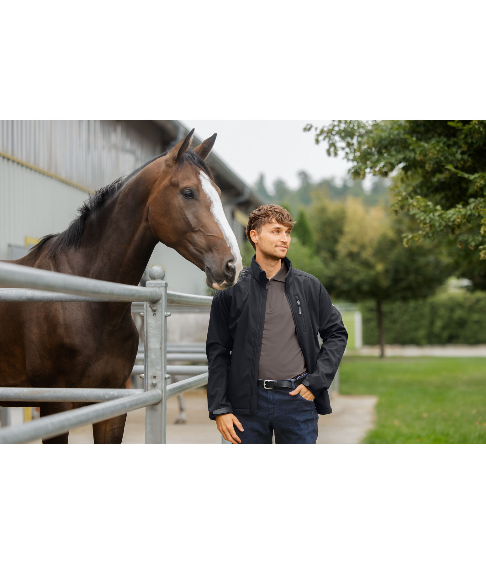 Men's Softshell Jacket Ben