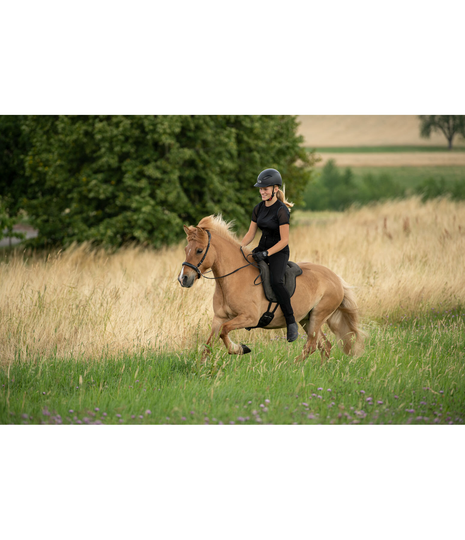 Riding Hat Contest II