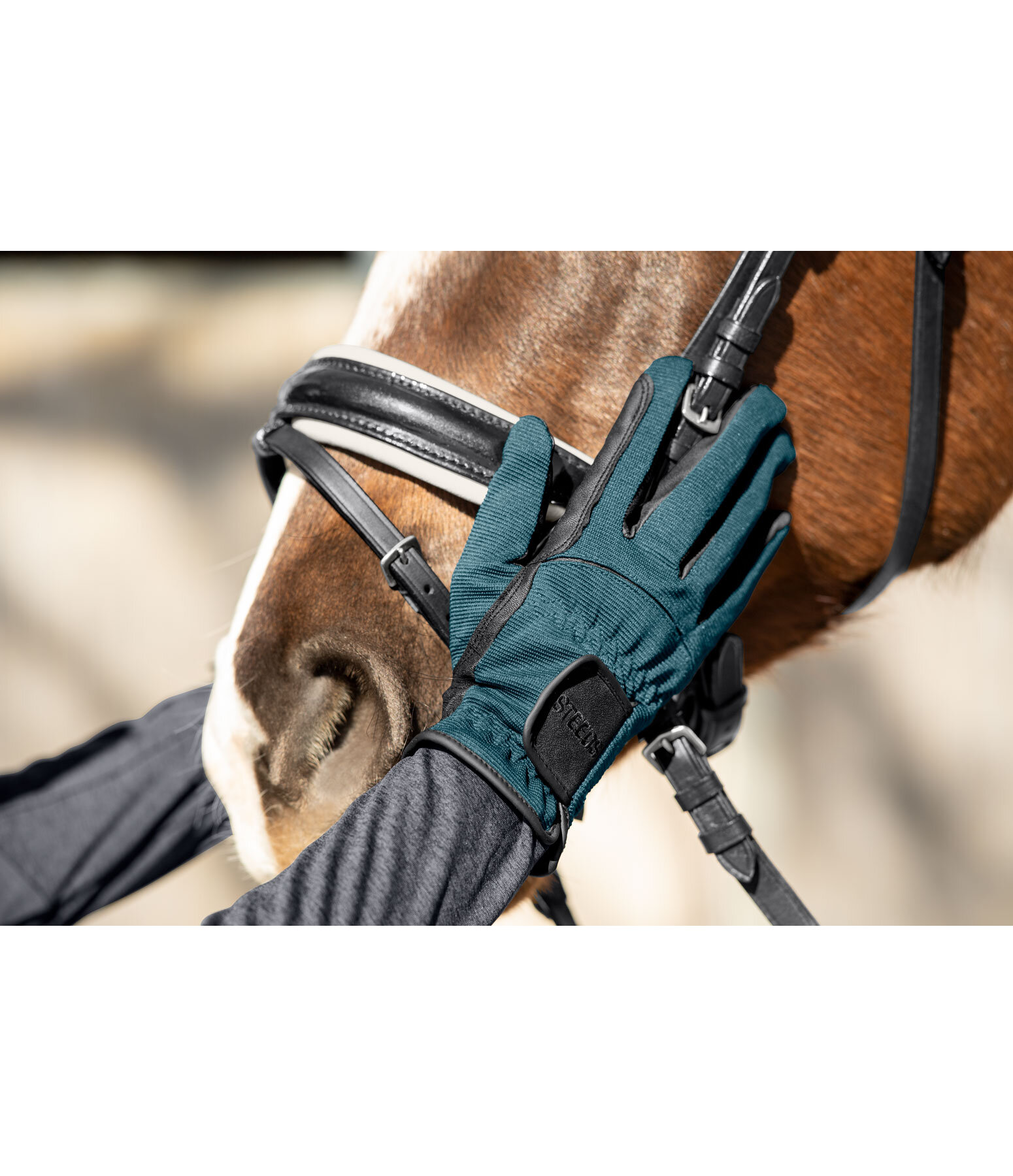 Winter Riding Gloves Newport