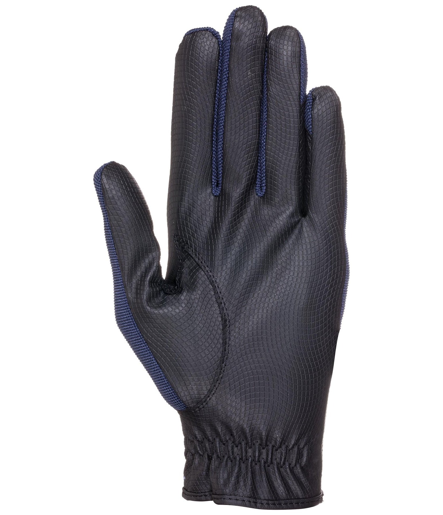 riding gloves price