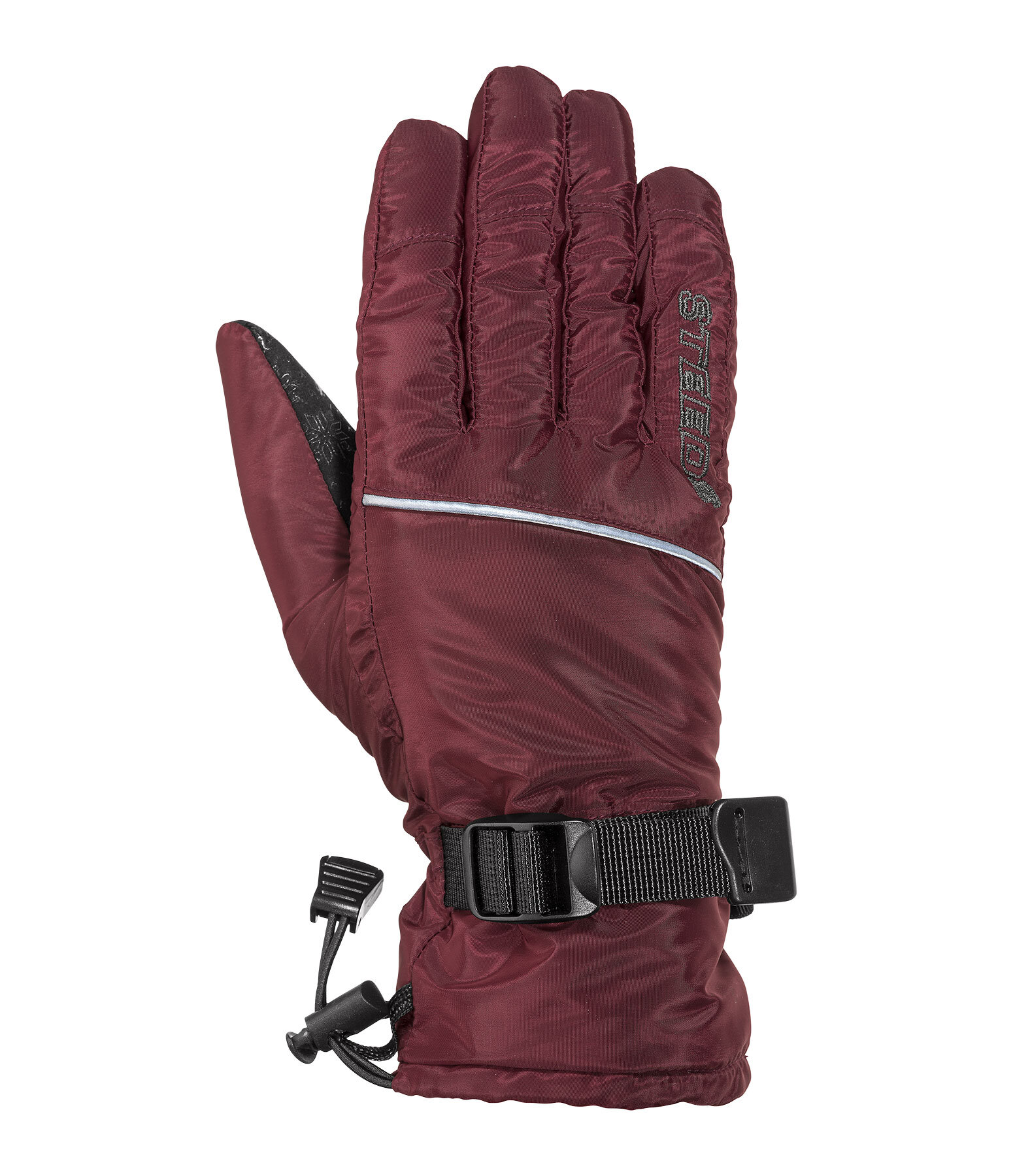 Winter Riding Gloves Alaska II