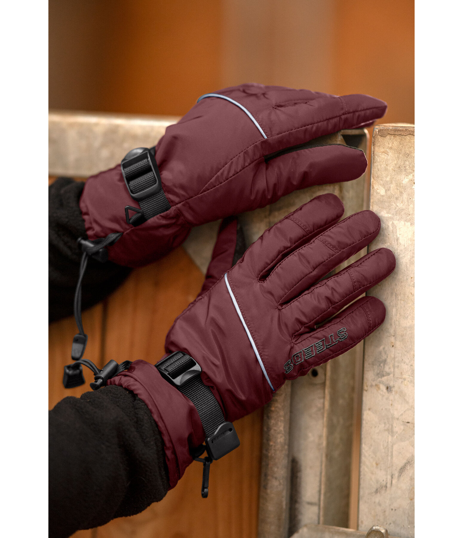 Winter Riding Gloves Alaska II