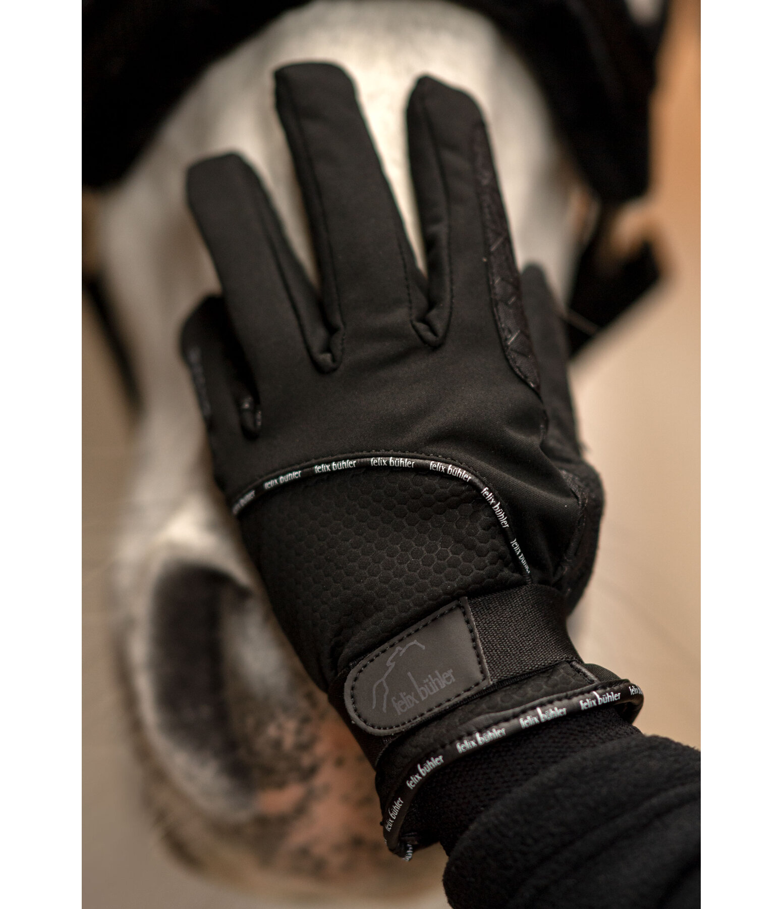 Winter Riding Gloves Impressive