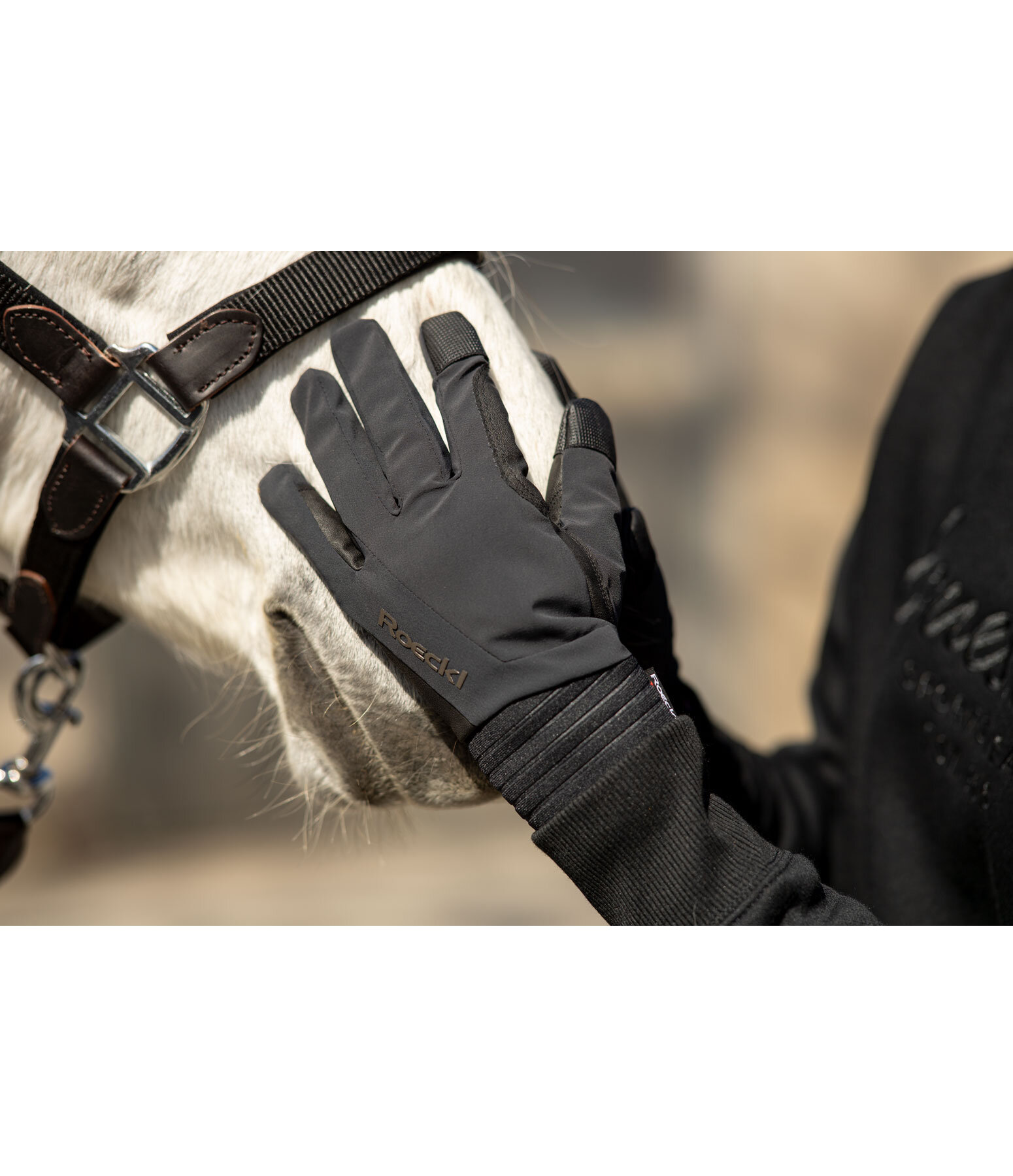 Winter Riding Gloves Winsford