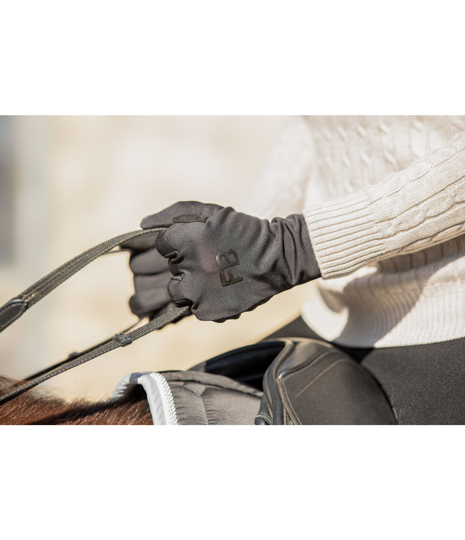 Winter Riding Gloves Verbier