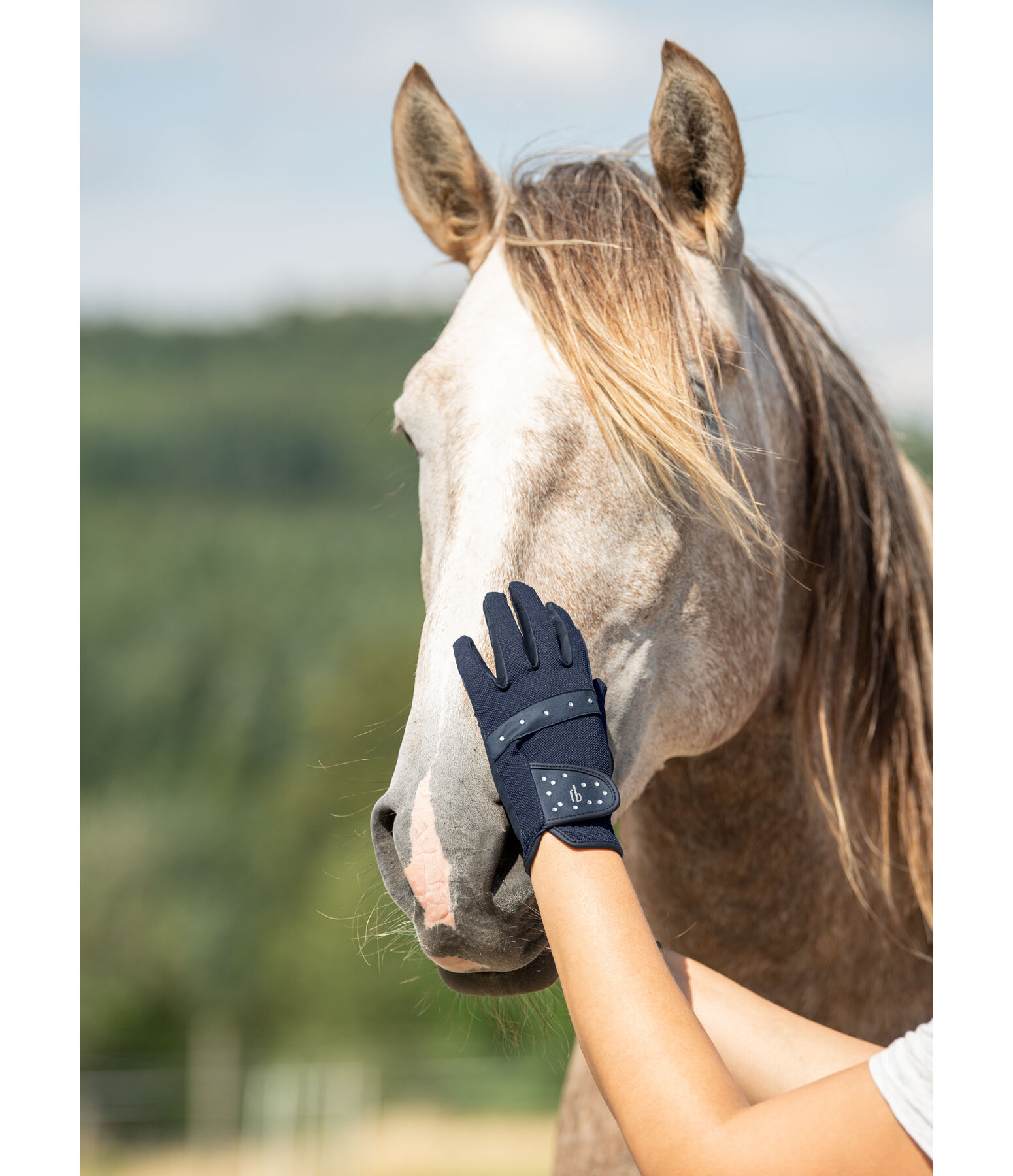 Summer Riding Gloves Aurora