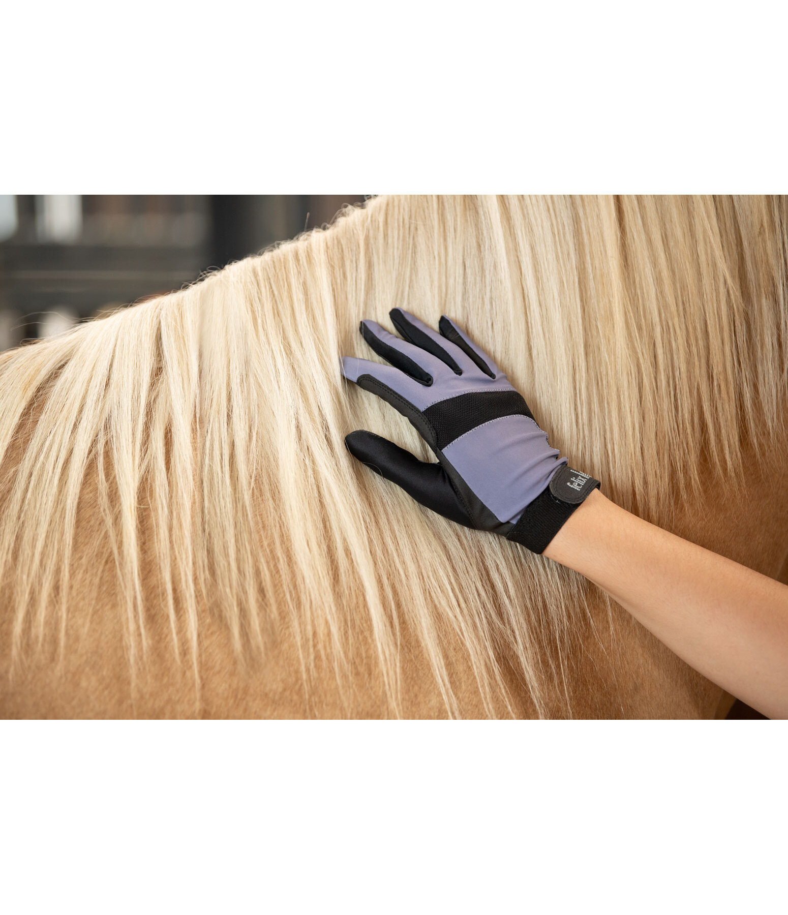 Summer Riding Gloves Nivia