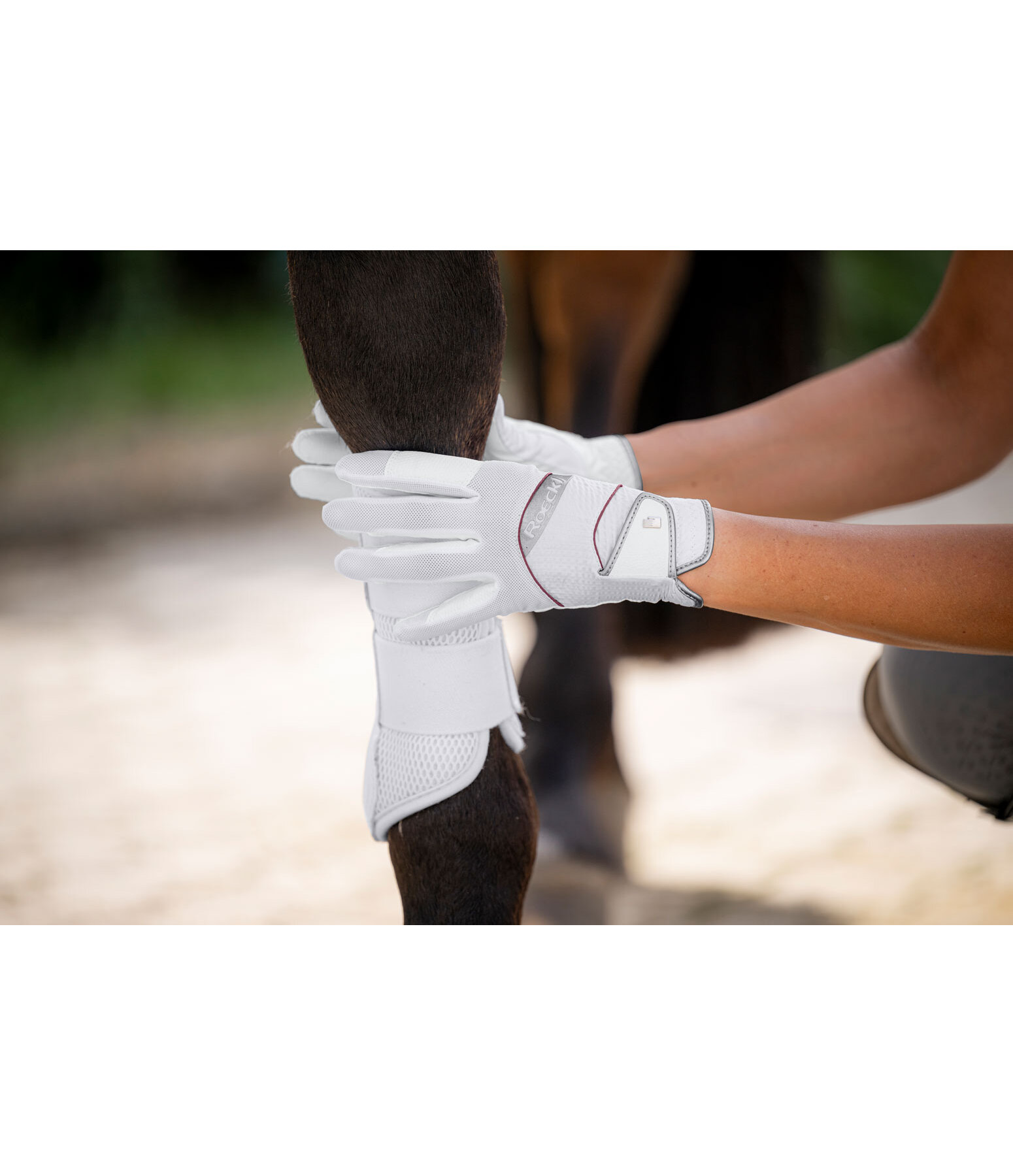 Riding Gloves MILLERO