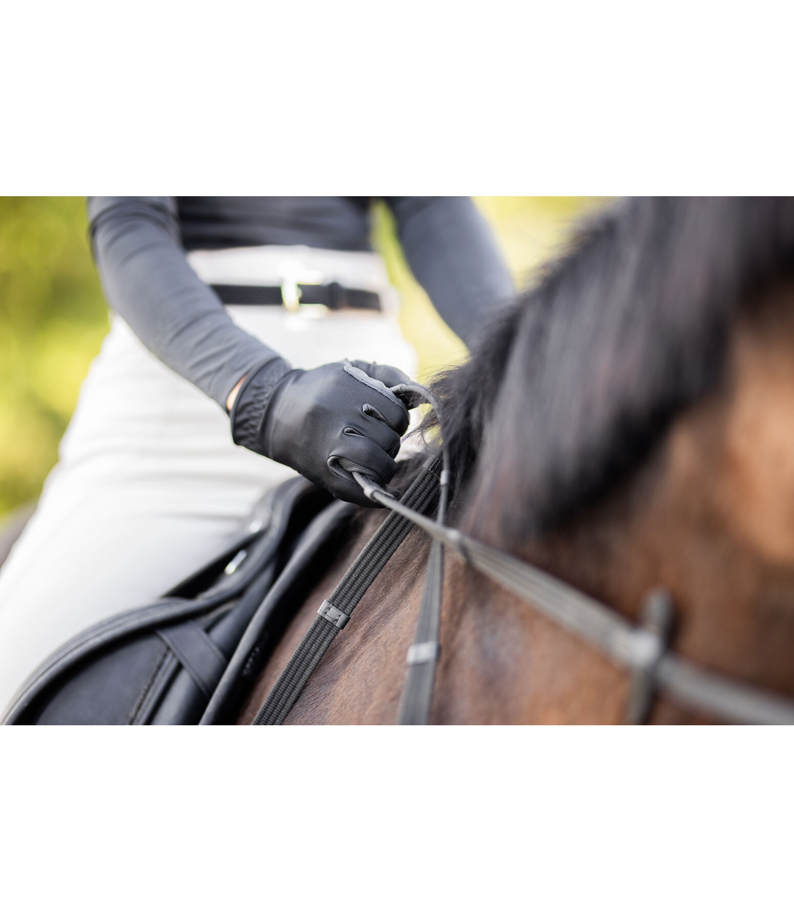 Riding Gloves Clover