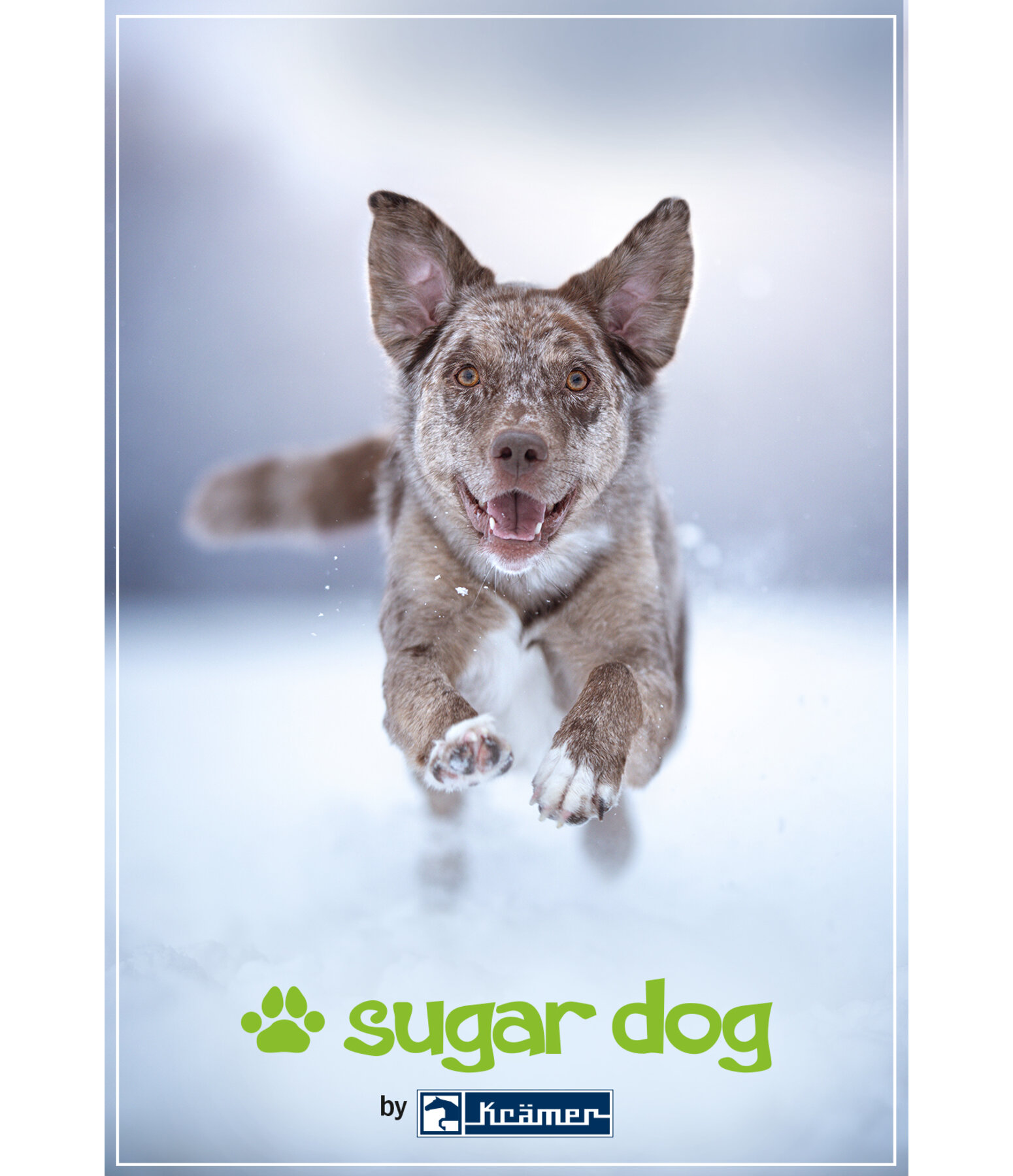 Printable Gift Voucher