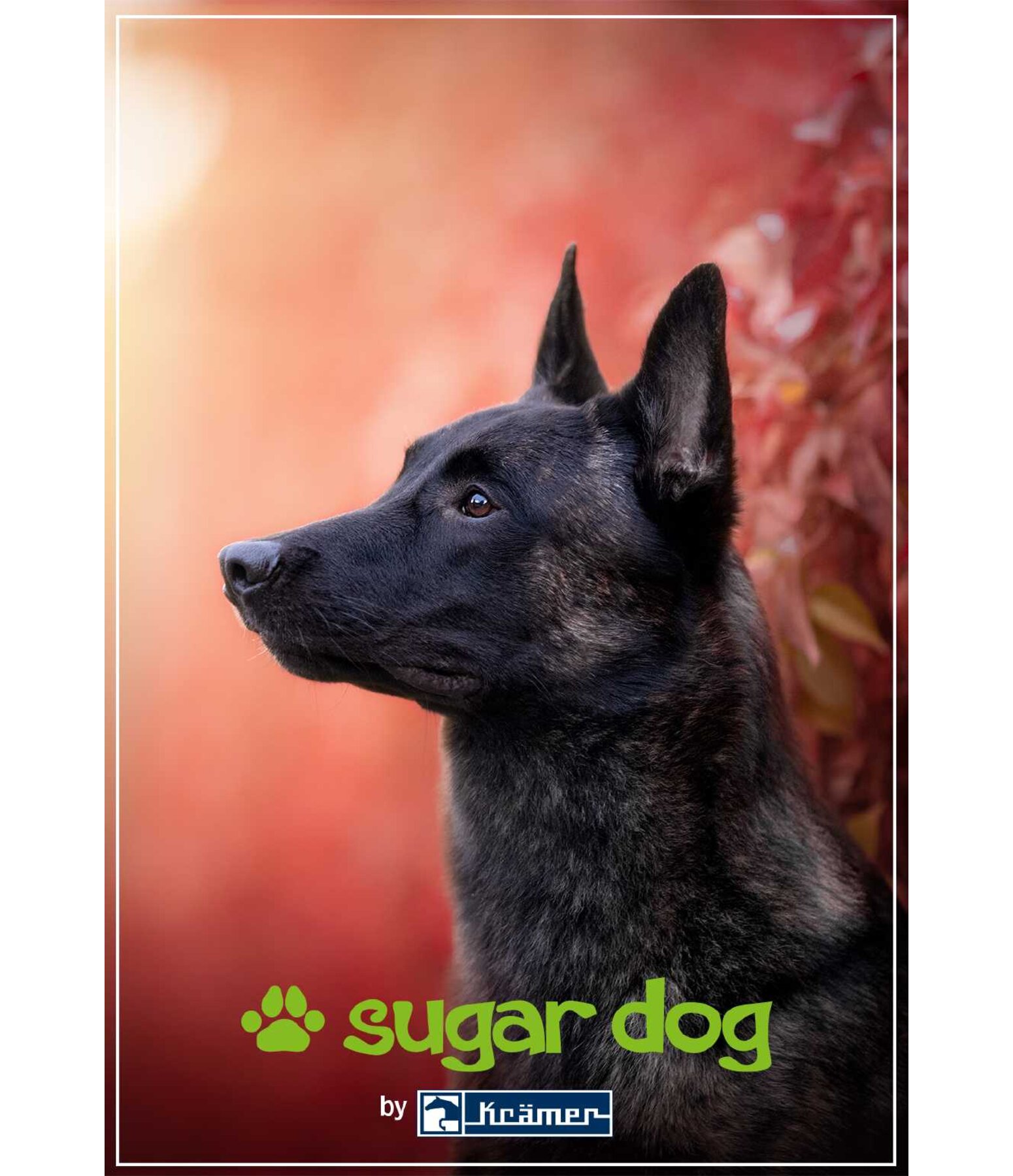 Printable Gift Voucher