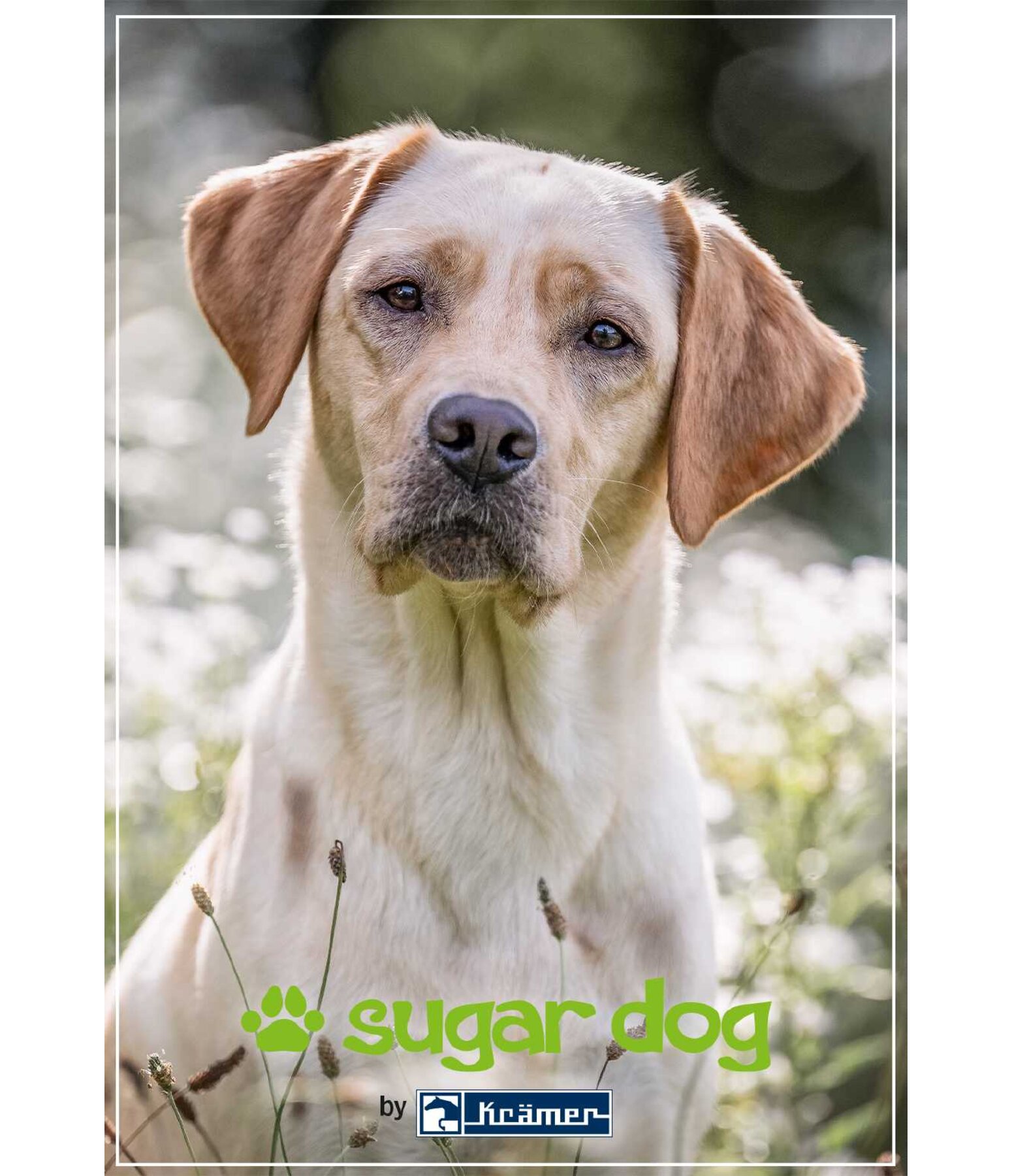 Printable Gift Voucher