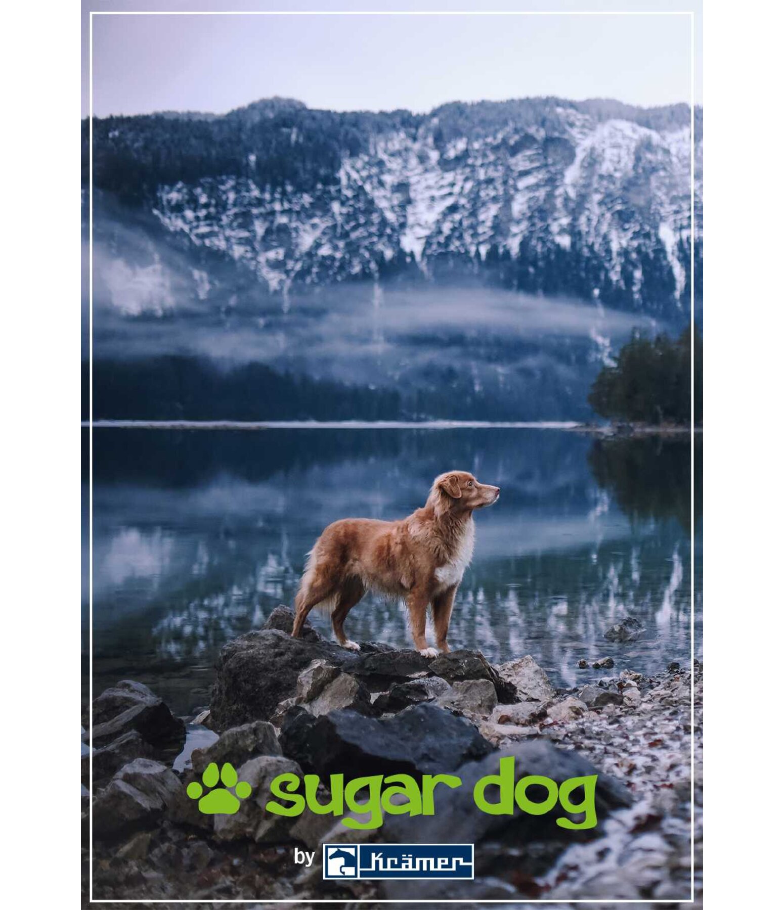 Printable Gift Voucher