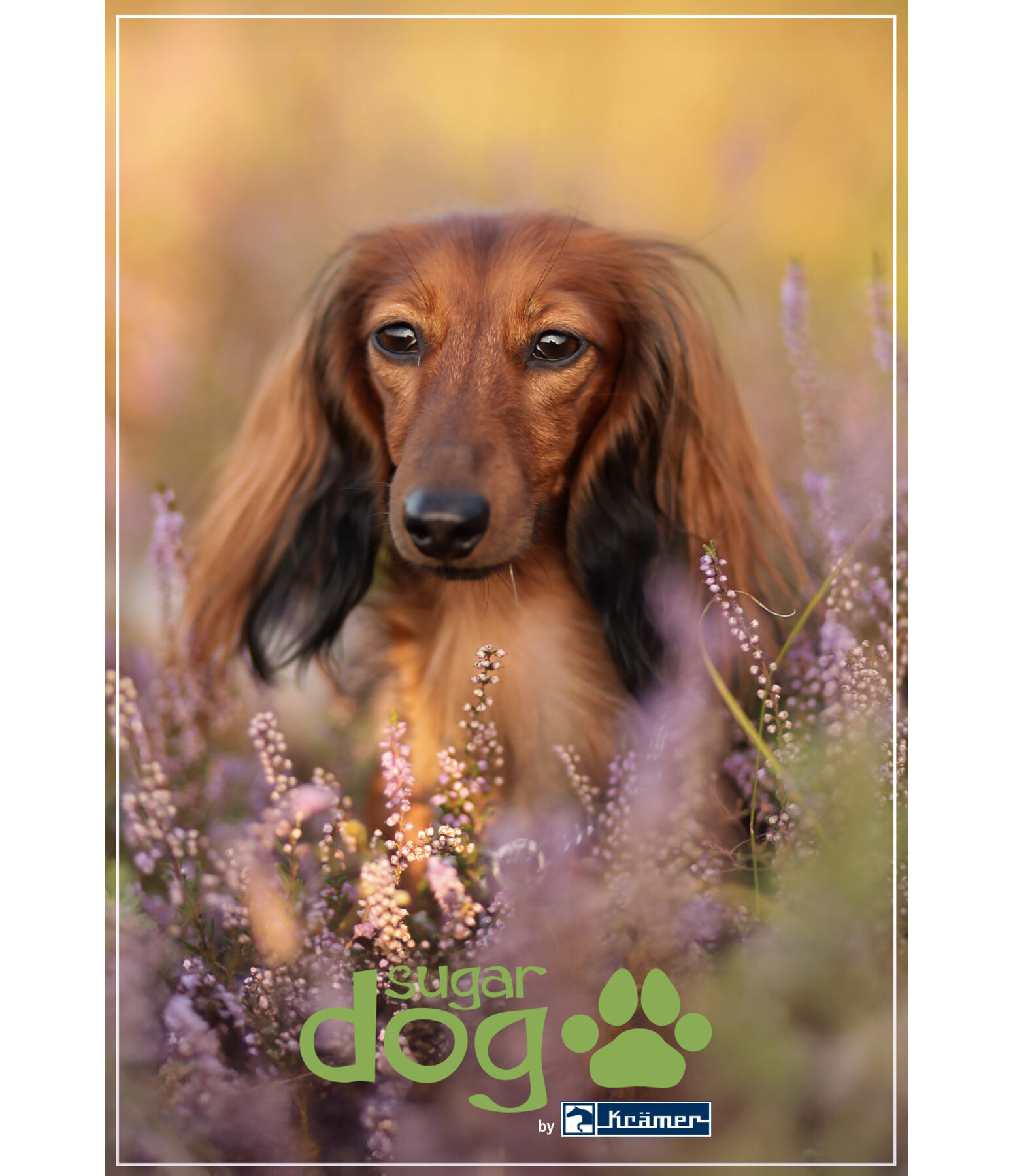 Printable Gift Voucher