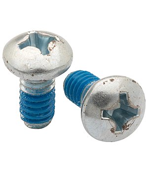 CLARIDGE HOUSE Gullet Plate Screws, 2 pieces - 110368