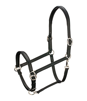 TWIN OAKS Horse Trekking Sidepull - 182762