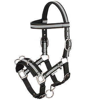 SHOWMASTER Multifunctional Bridle - 183260
