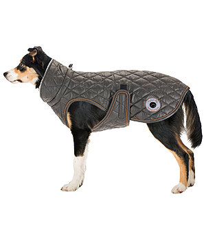 sugar dog Dog Coat Archie with Teddy Fleece Lining, 160 g - 230955-M-DO