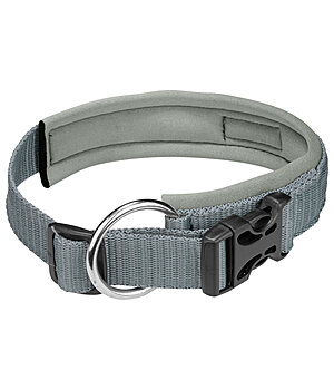 sugar dog Dog Collar Becks - 231007