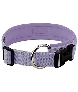 sugar dog Dog Collar Becks - 231007-M-B