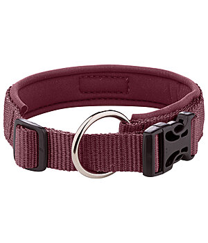 sugar dog Dog Collar Becks - 231007-M-BO