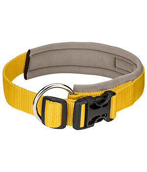 sugar dog Dog Collar Becks - 231007-M-GM