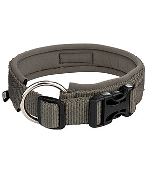 sugar dog Dog Collar Becks - 231007-S-O